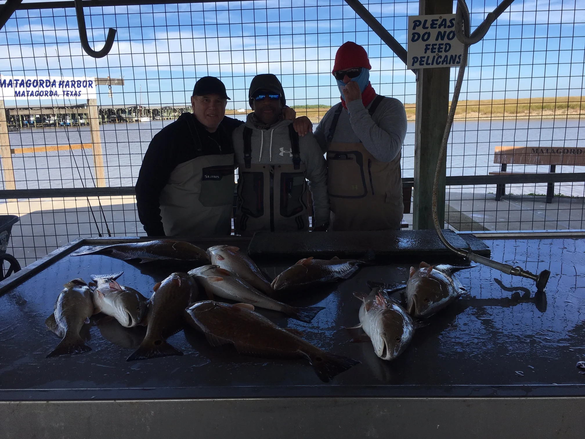 Fishing Report 11/15/2018