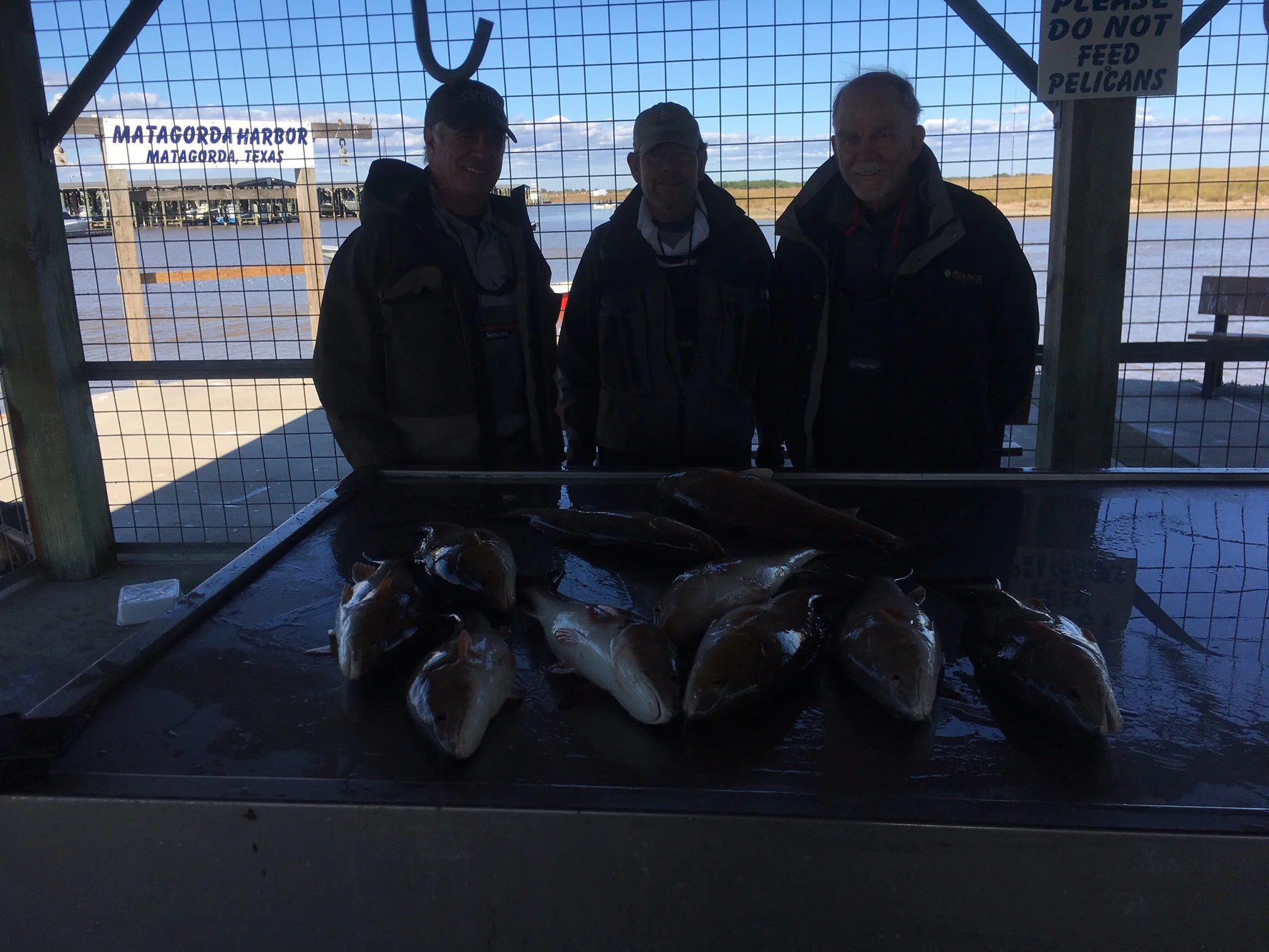 Fishing Report 11/16/2018