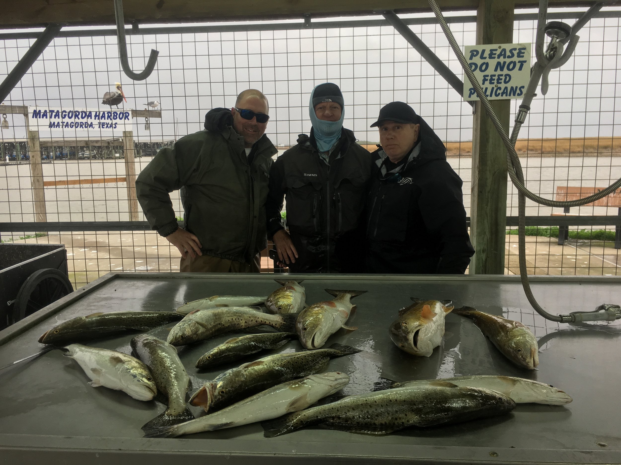 Fishing Report 12/26/2018