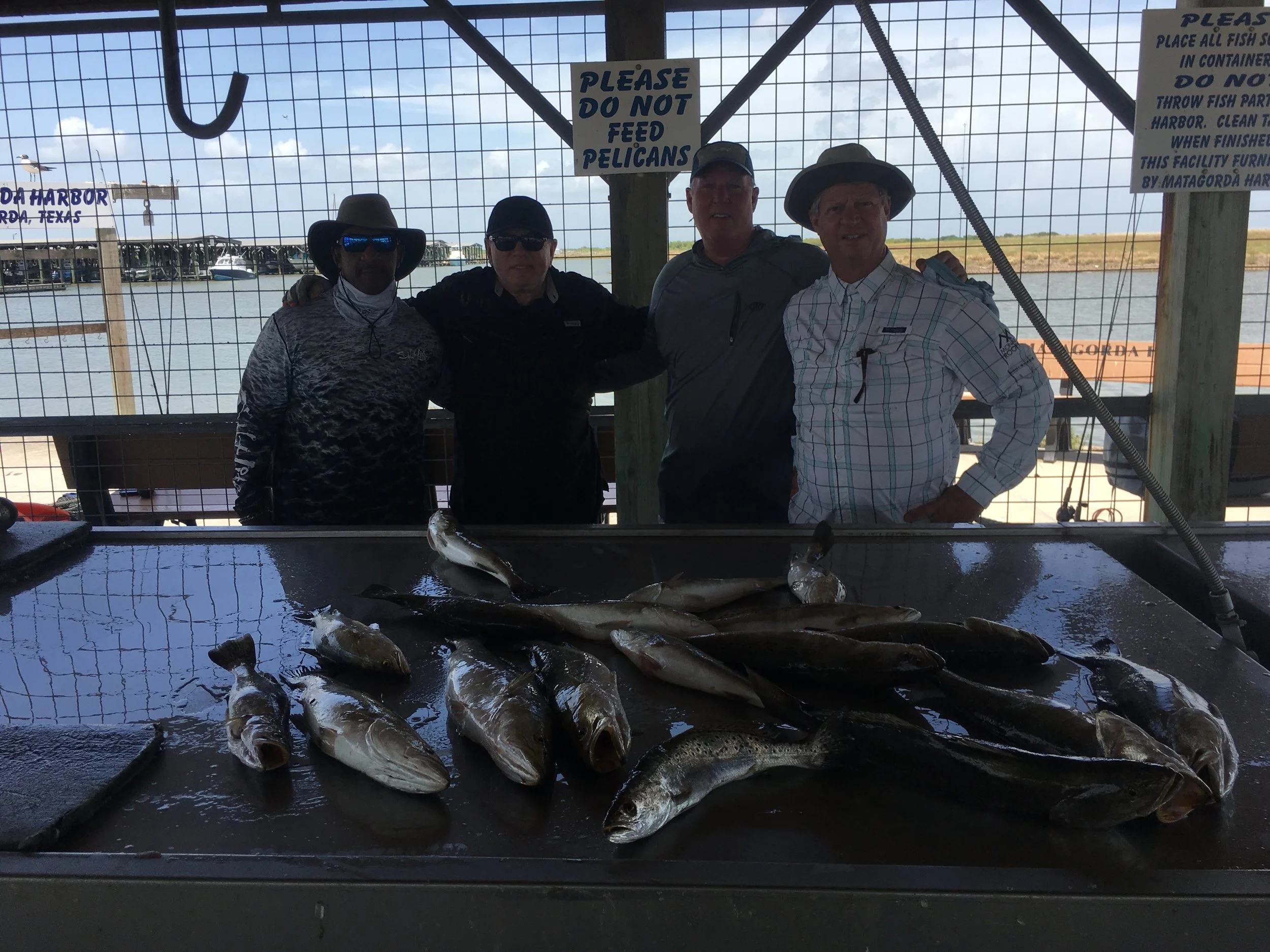 Fishing Report 7/30/2019