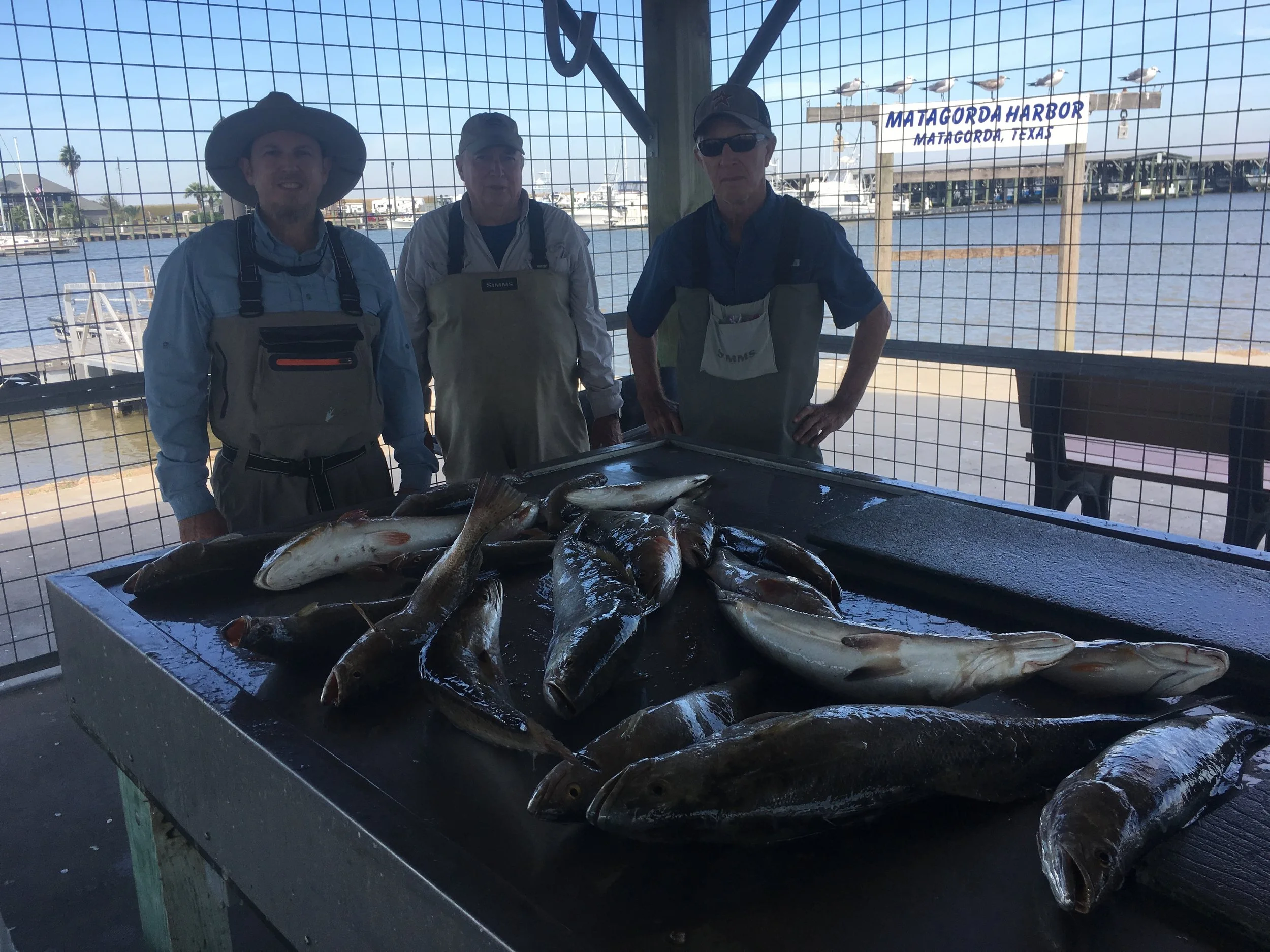 Fishing Report 11/6/2019