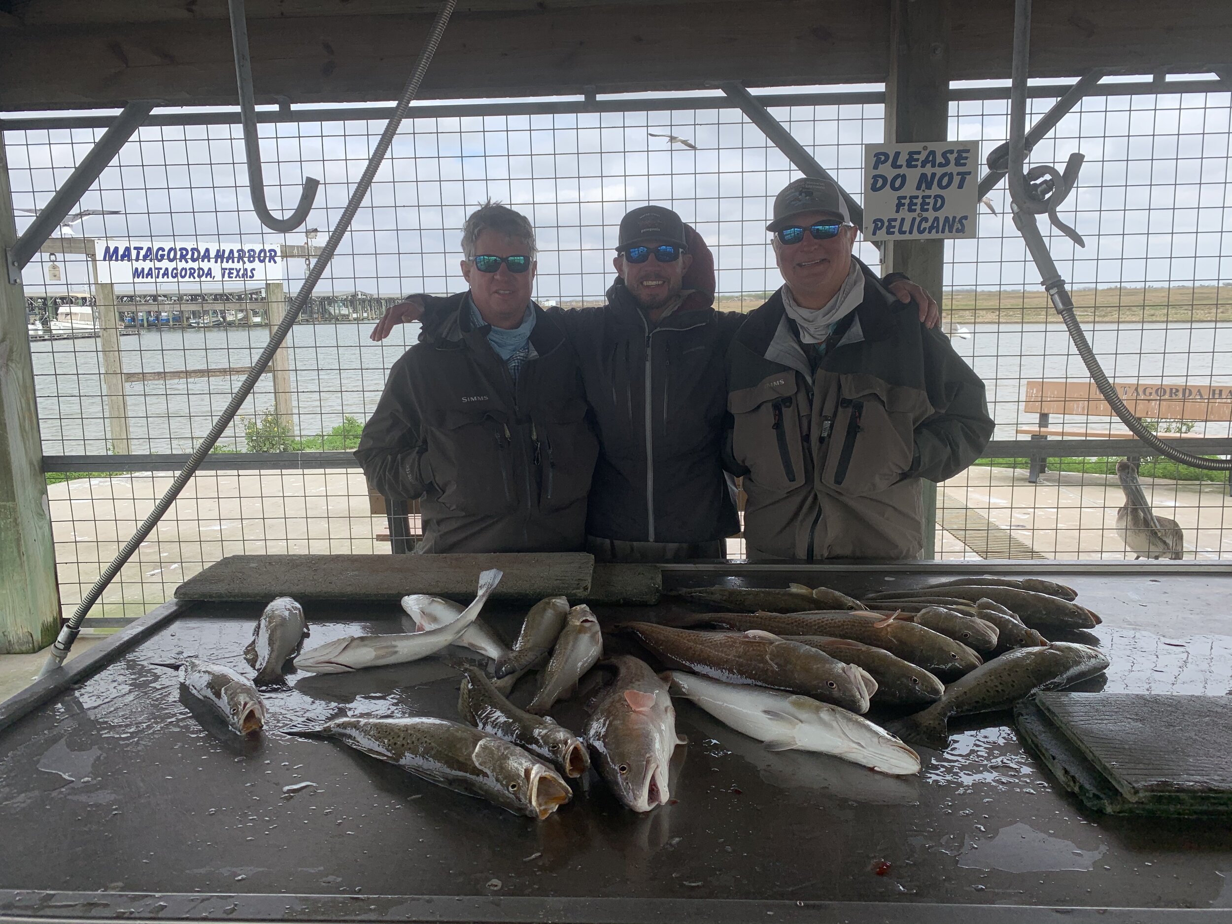 Fishing Report 1/31/2020