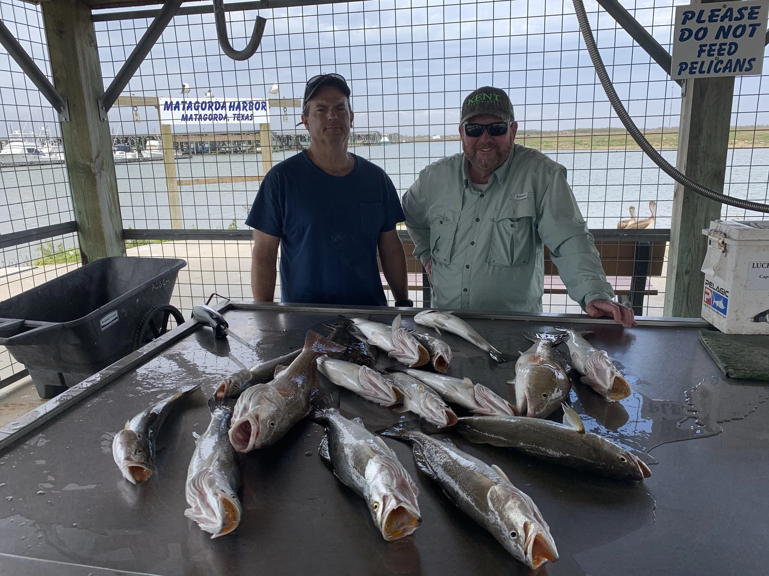 Fishing Report 2/18/2020