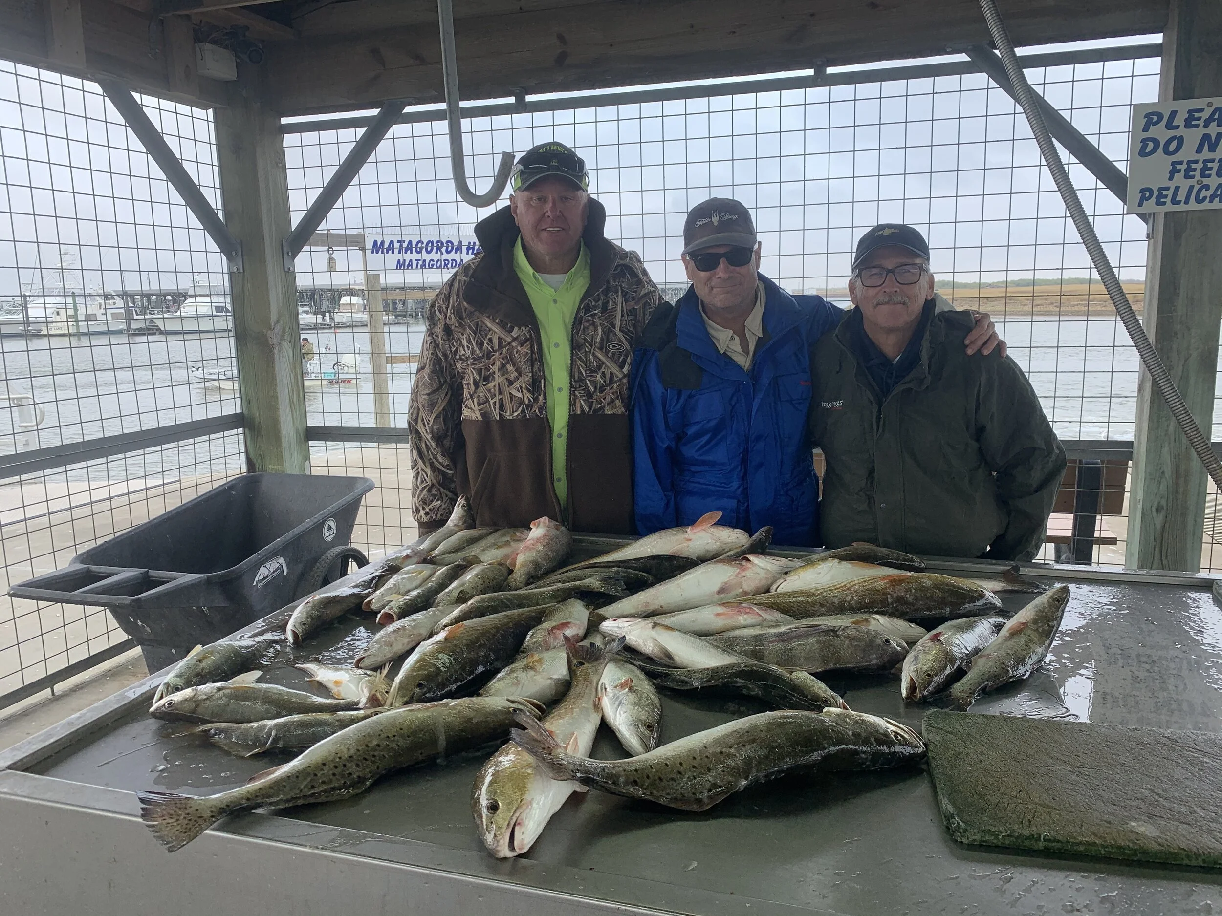 Fishing Report 12/12/2020