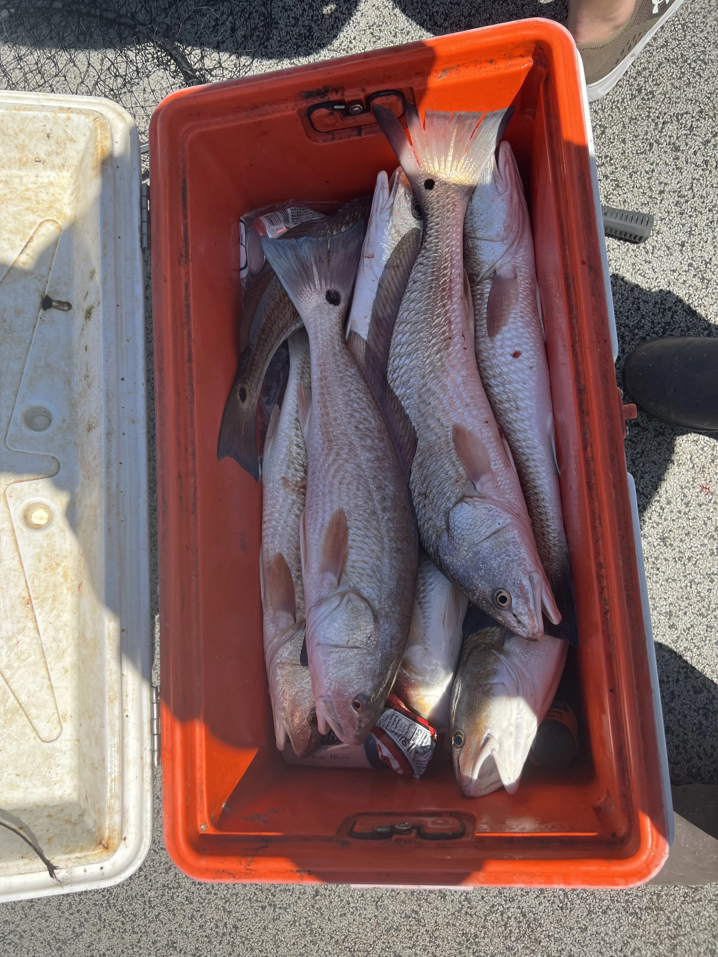 Fishing Report 3/26/2022