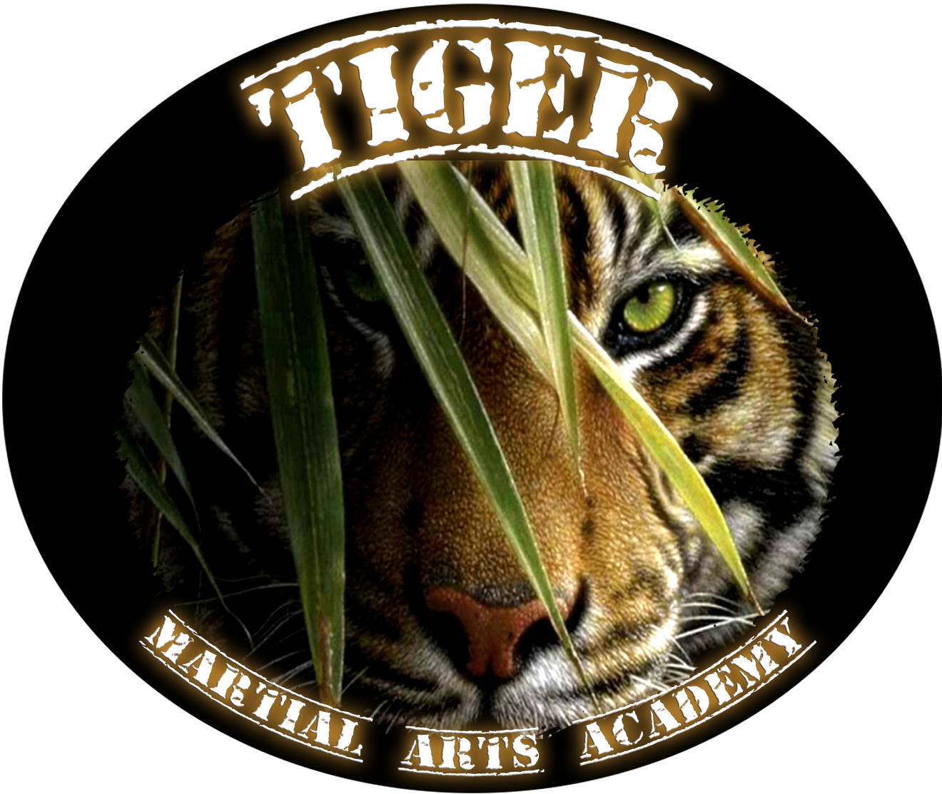 Tiger Martial Arts