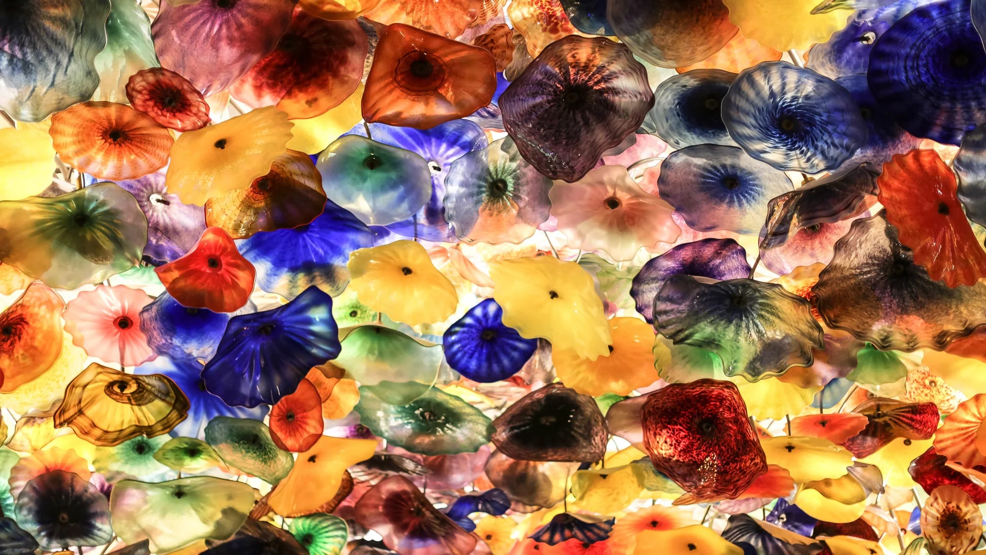 divers-art-wynn.jpg