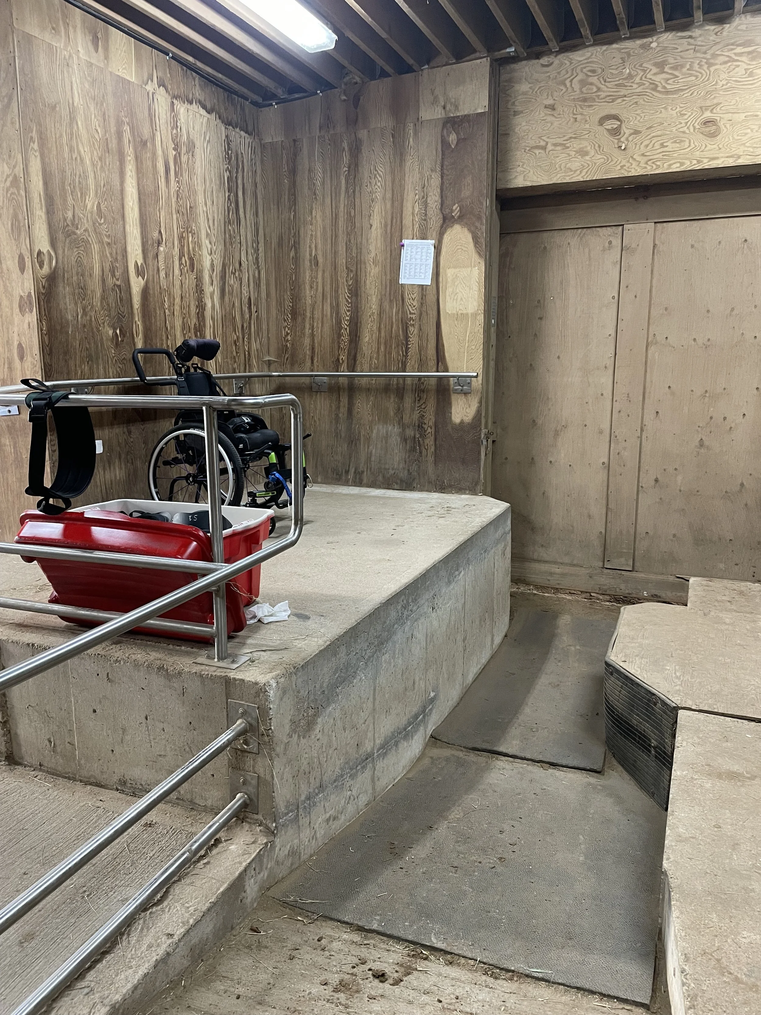 Therapeutic Riding — Halifax Lancers