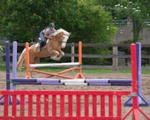 Sadie jumping with Nadia
