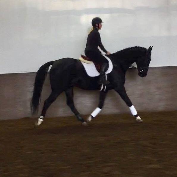 Mo and I dressage clinic.jpg