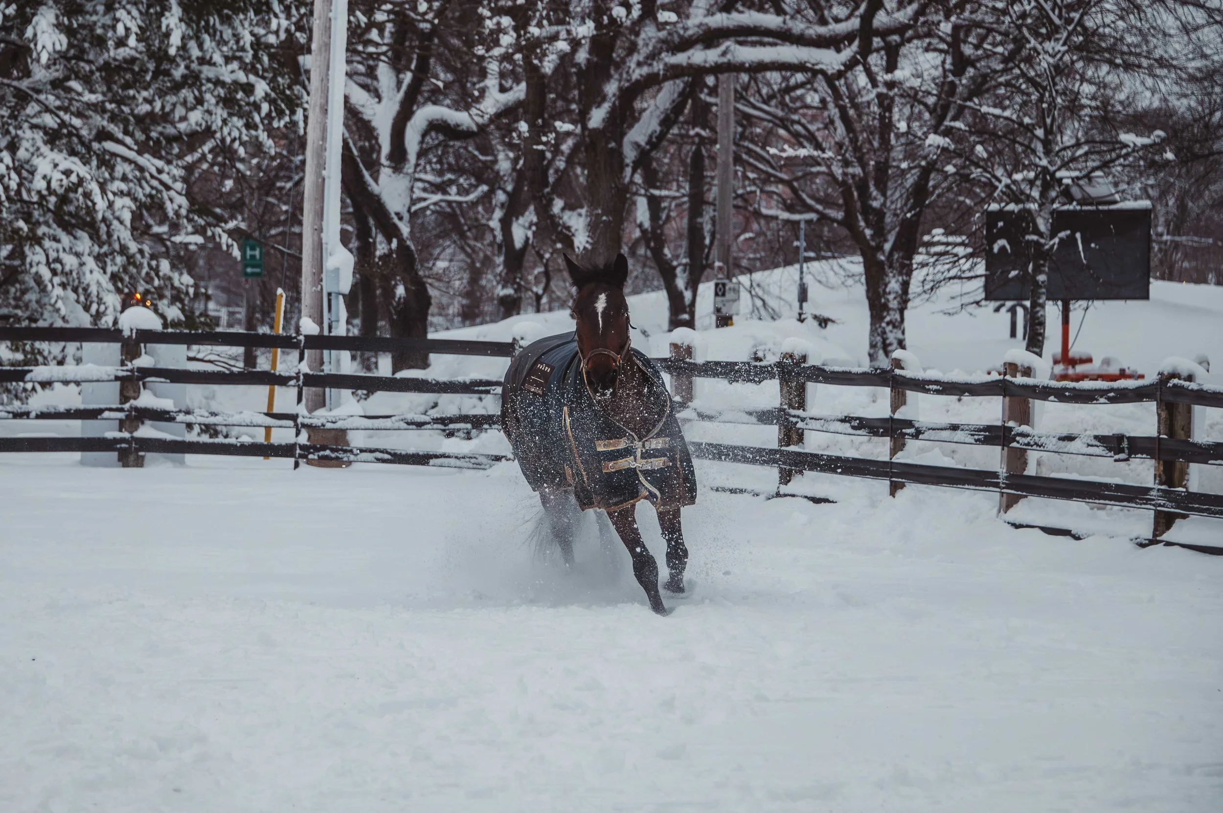 Lancers-FirstSnow-Dec2024-0083.jpg