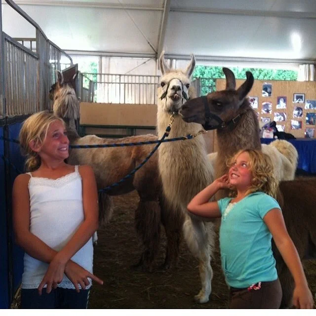 Going into the weekend with a big smile like heyyy 👋one more week till we are off to Spain 🇪🇸 #familyfriday #flashbackfriday #itsfriday #helloweekend #windswept #windswept #windsweptbythesea #sagharborny #hamptons