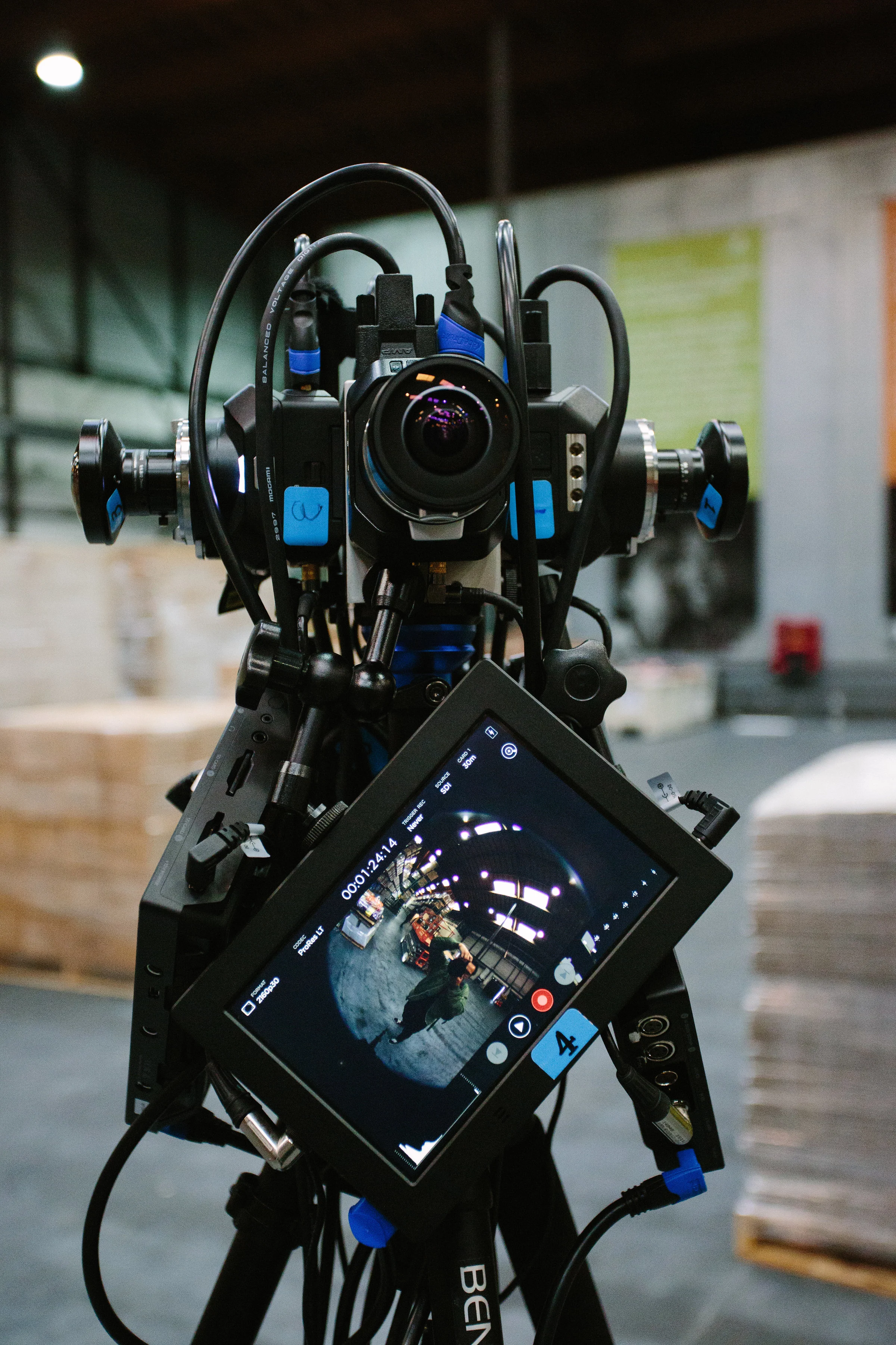 Fox-6330.jpg