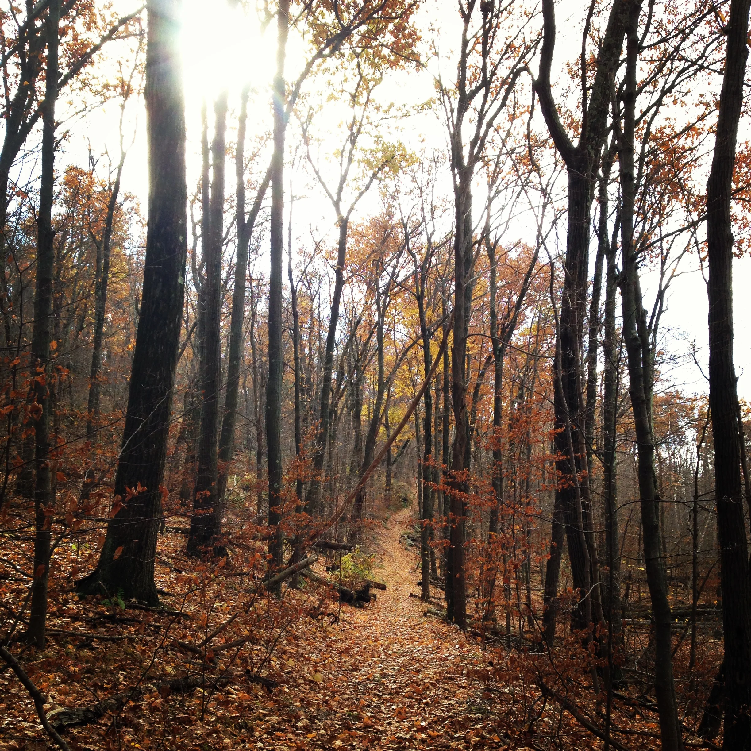 The end of an adventure