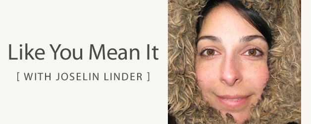 blog-lymi-joselin-linder.jpg