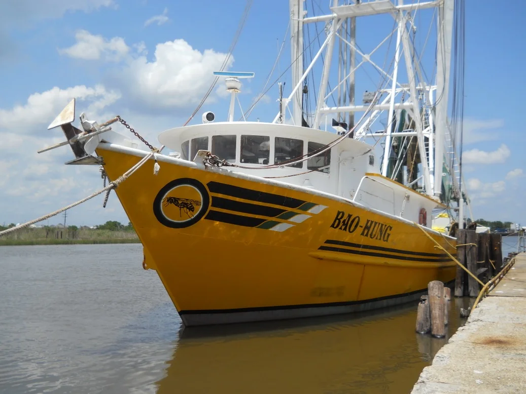 DSCN3675 FV C:V.jpeg