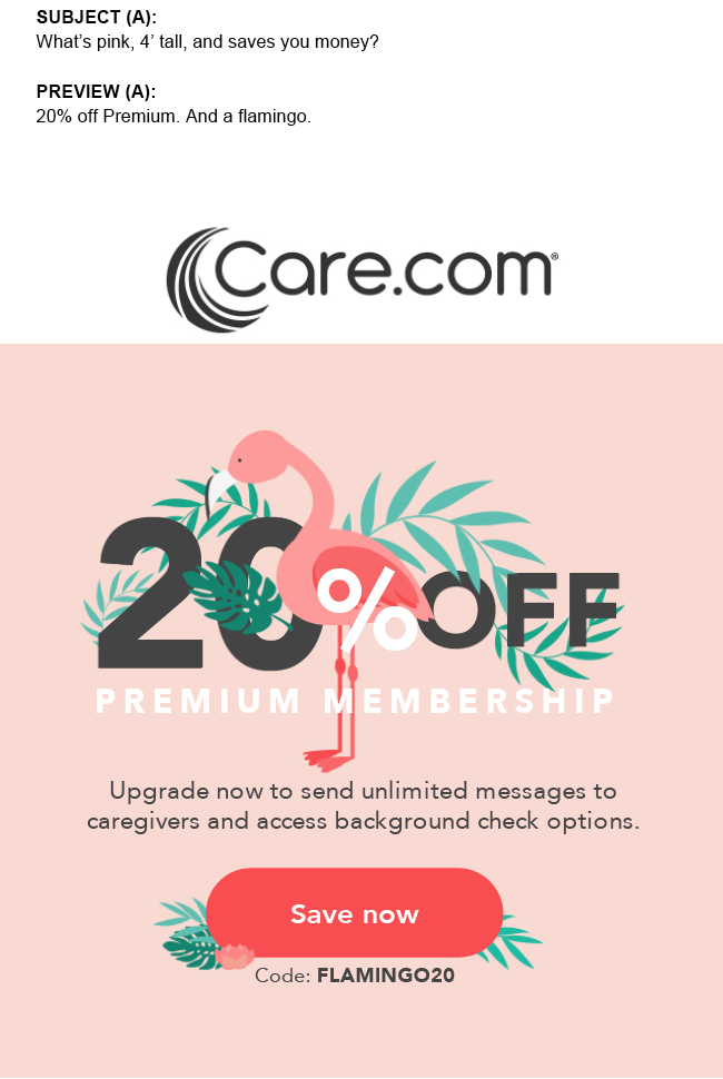 Care.com Promo Email