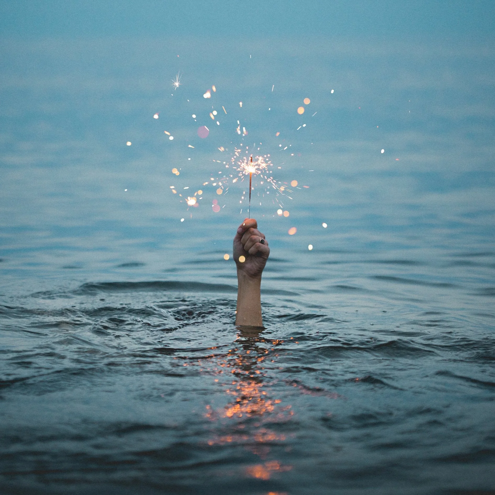 Photo by Kristopher Roller via Unsplash