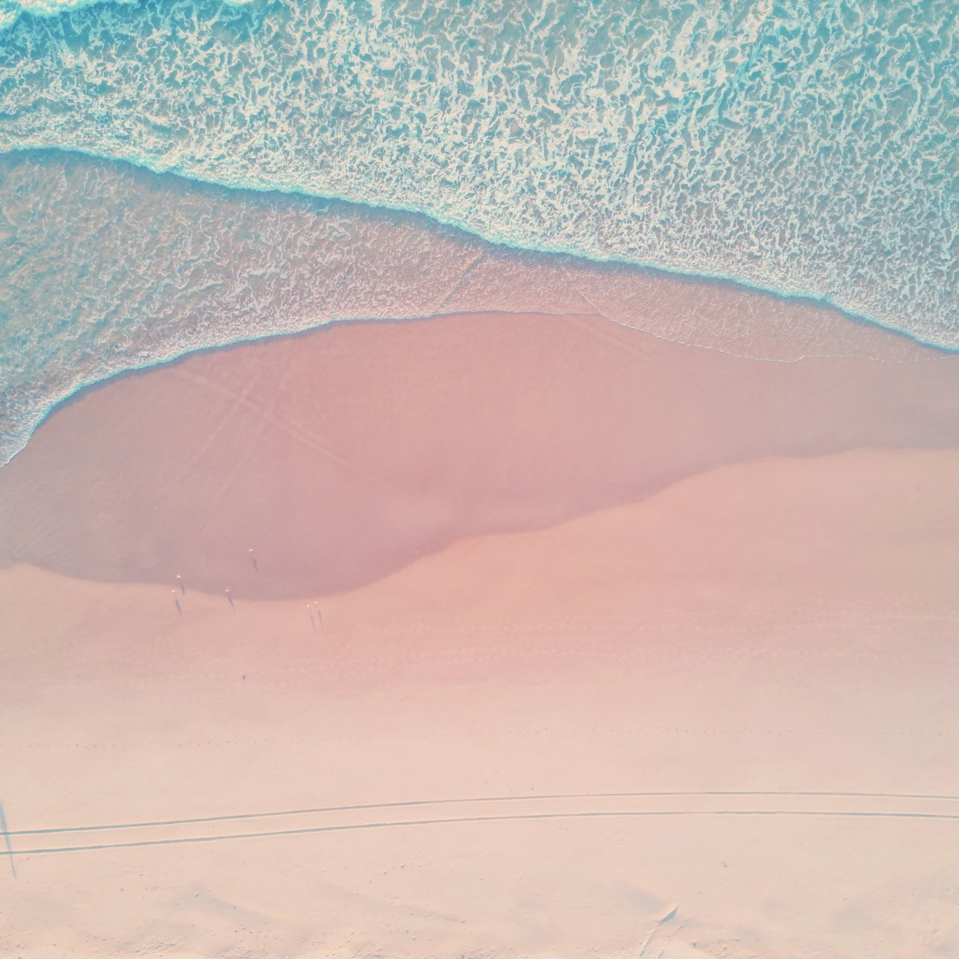 Photo by Patrick Ryan via Unsplash