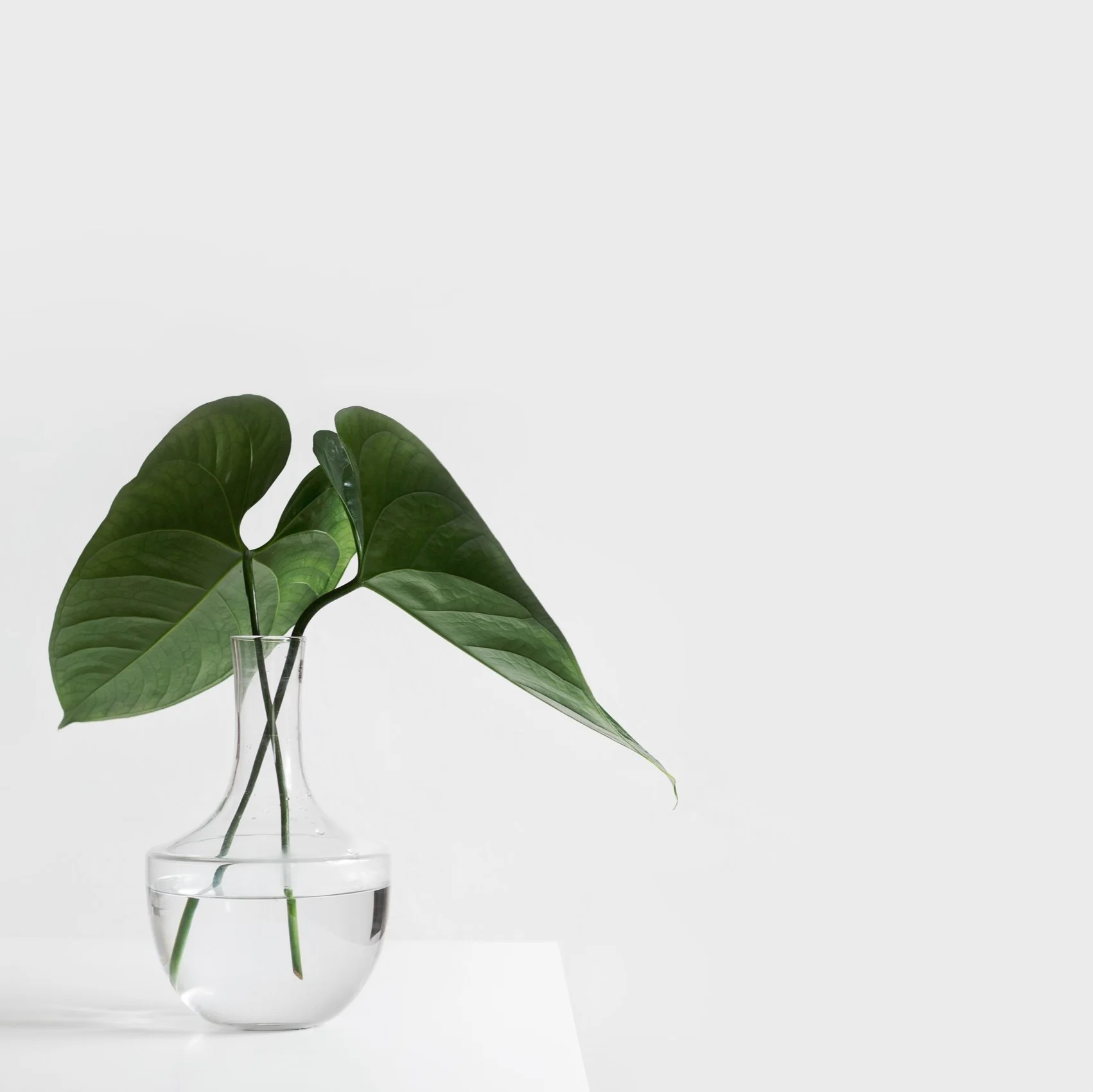 Photo by Sarah Dorweiler via Unsplash