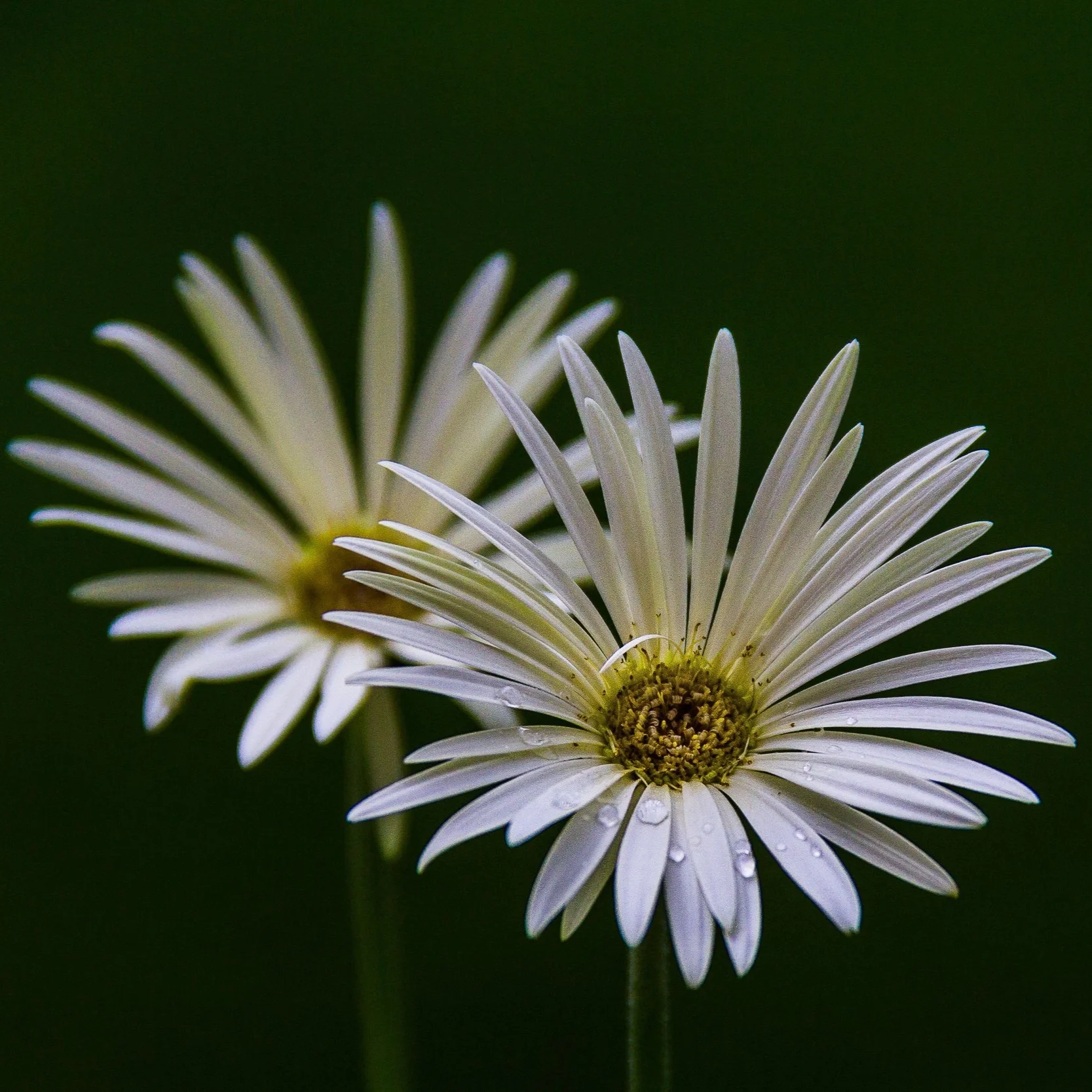 Photo by Nilotpal Sarma via Unsplash