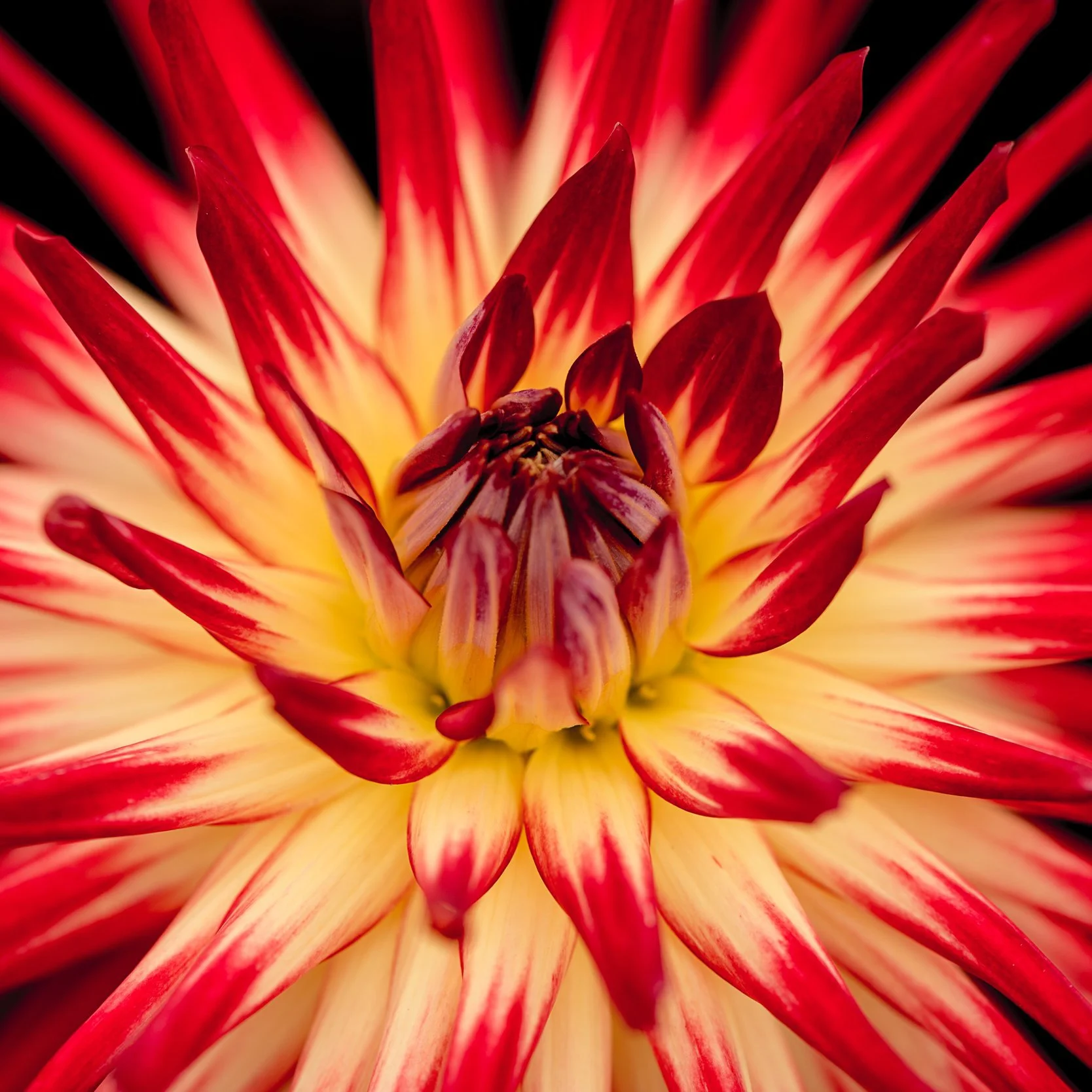 Photo by v2osk via Unsplash