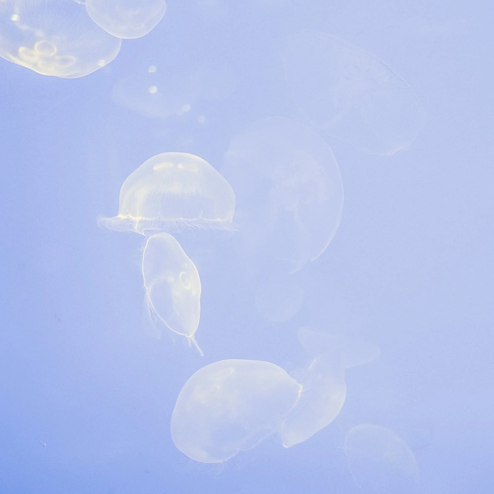 Photo by Dimitri Lakymuk via Unsplash
