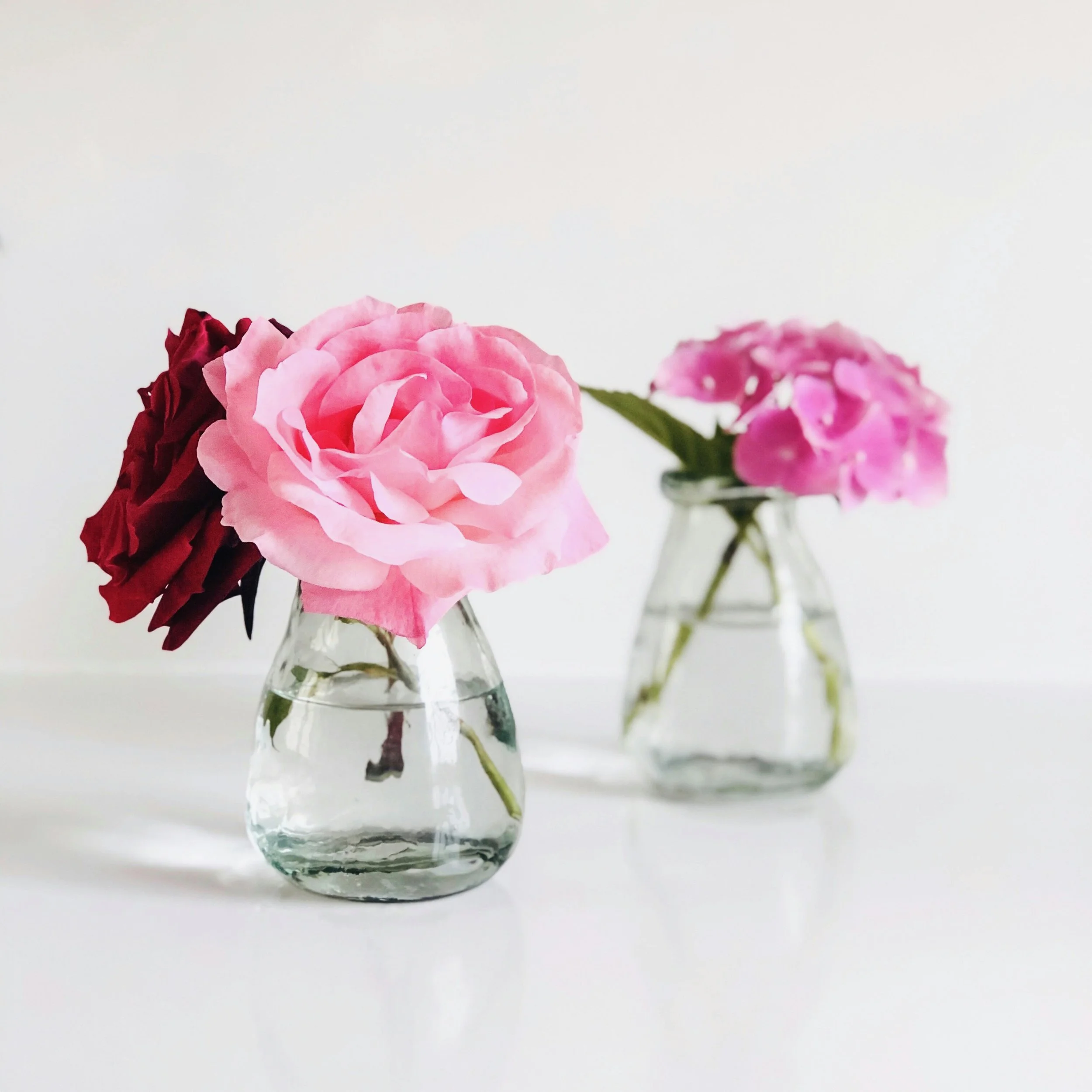 Astrological Insights: February 26 - March 3, 2024