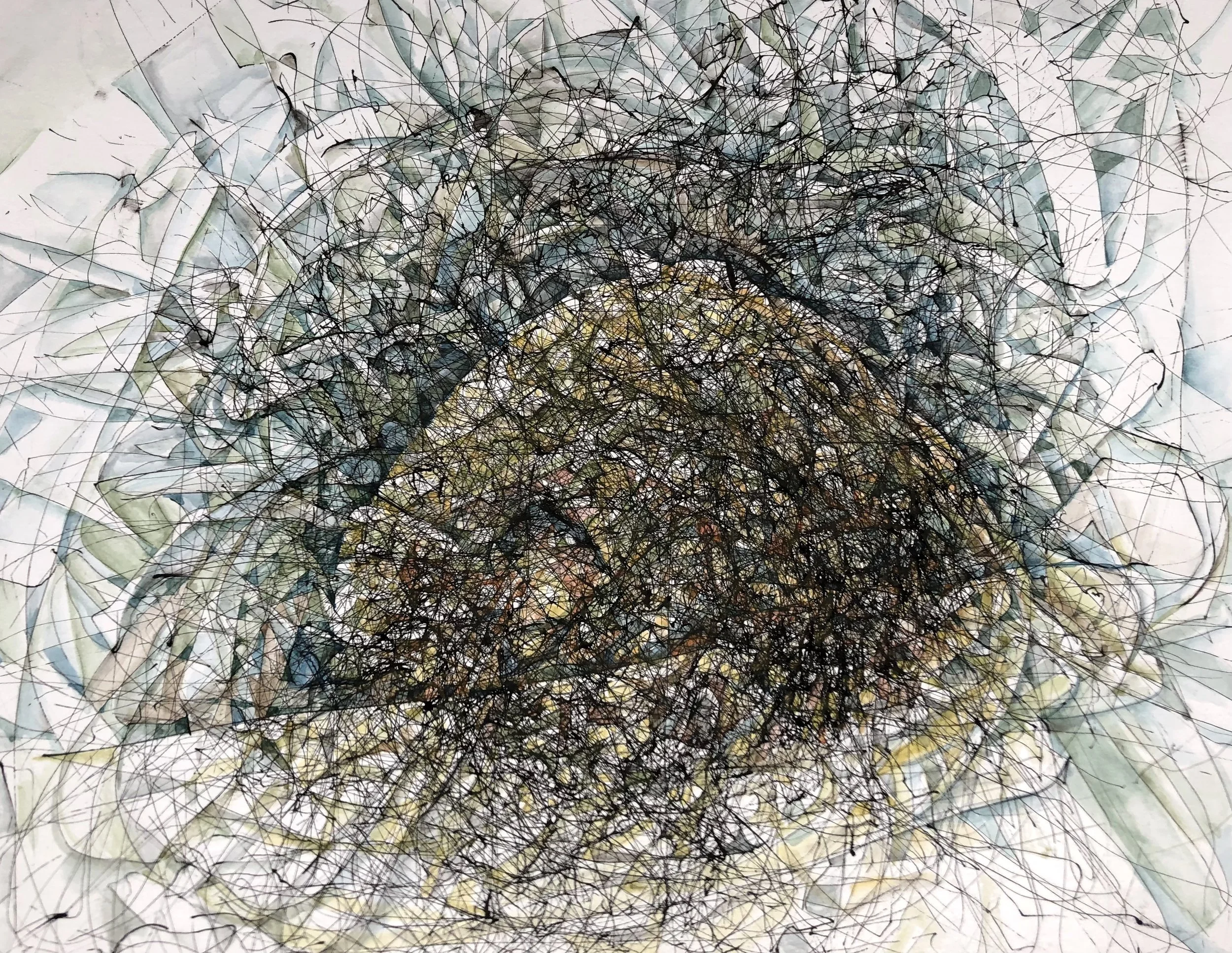 Nest
