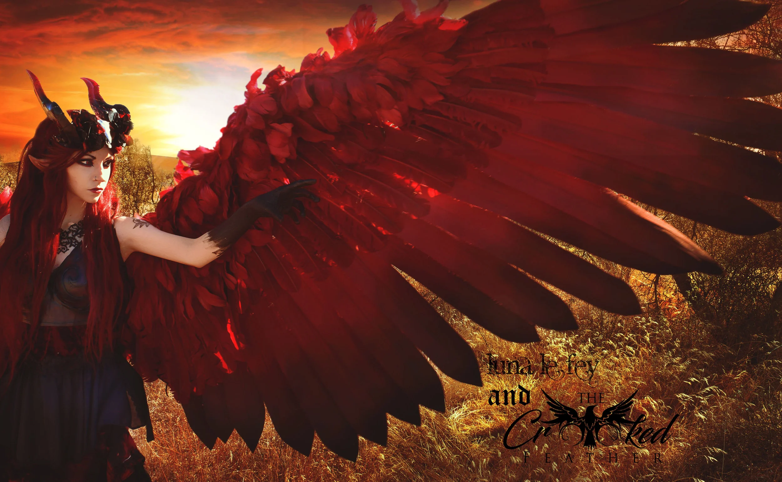 WINGS2FINAL.jpg