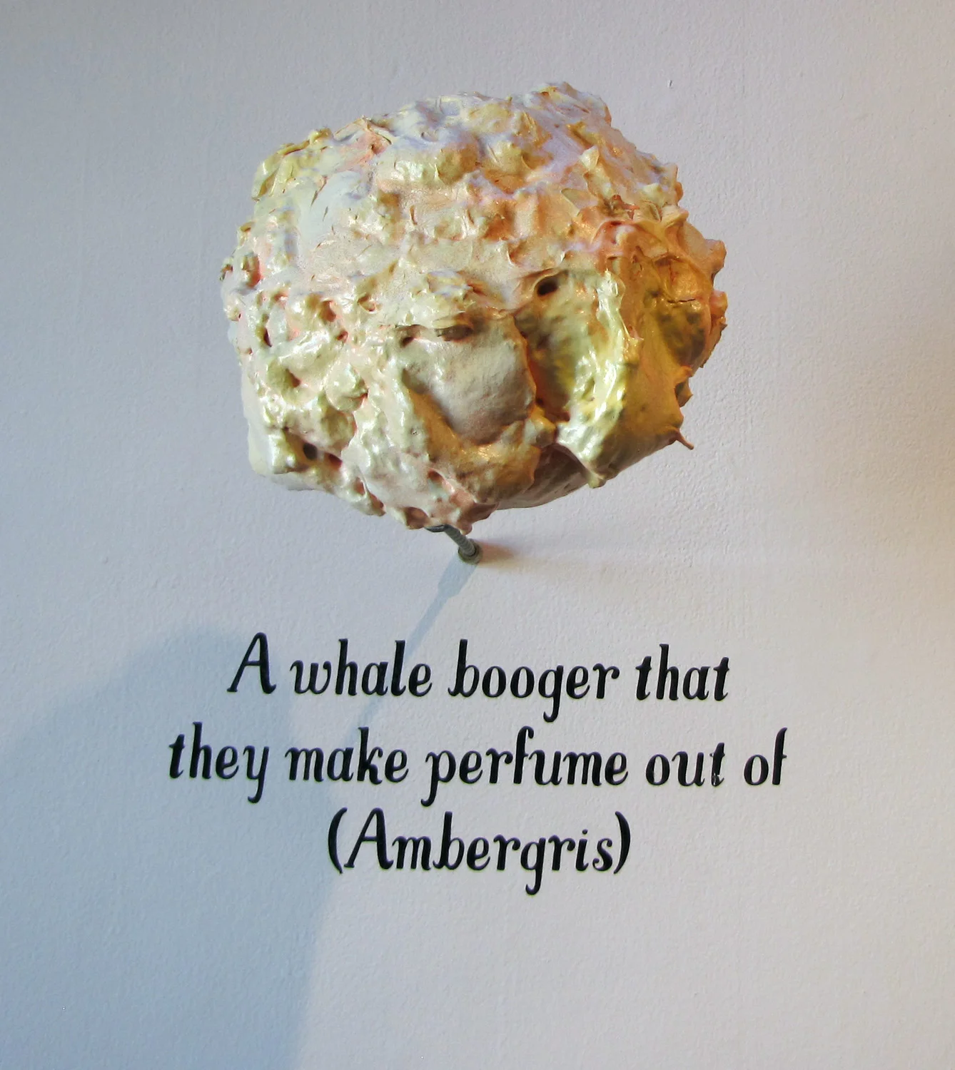 booger.jpg