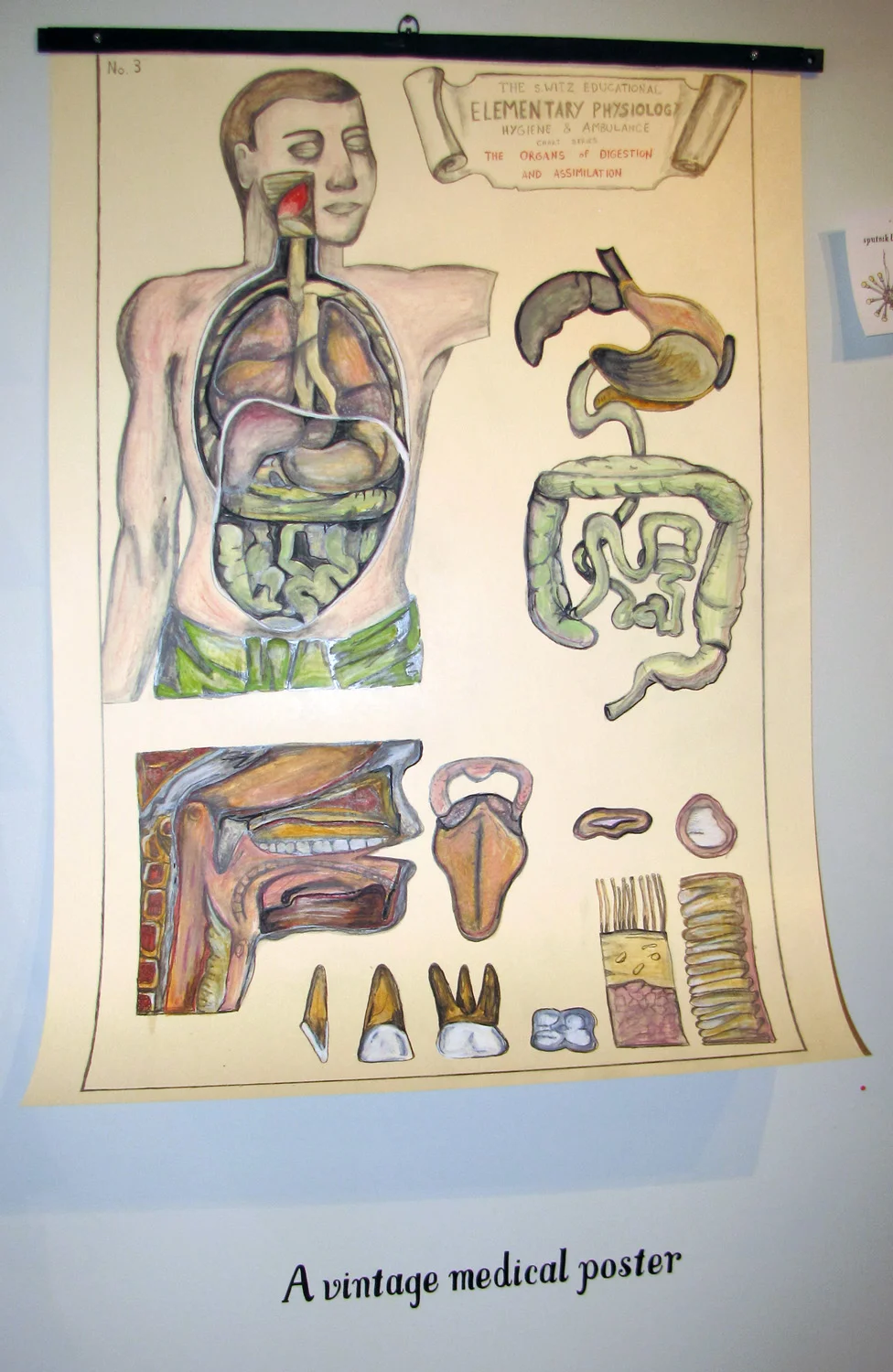 medical.jpg