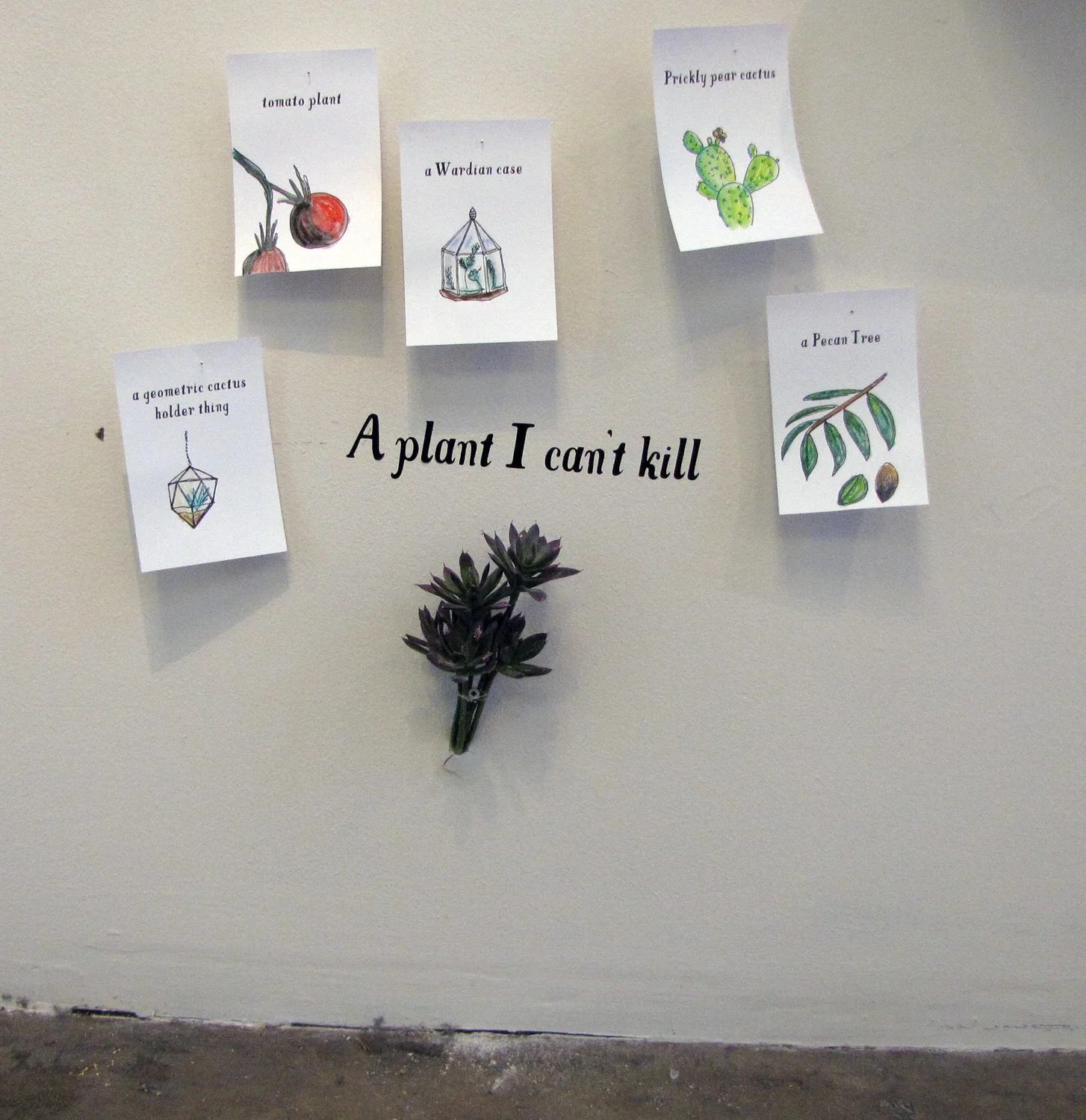 plant.jpg