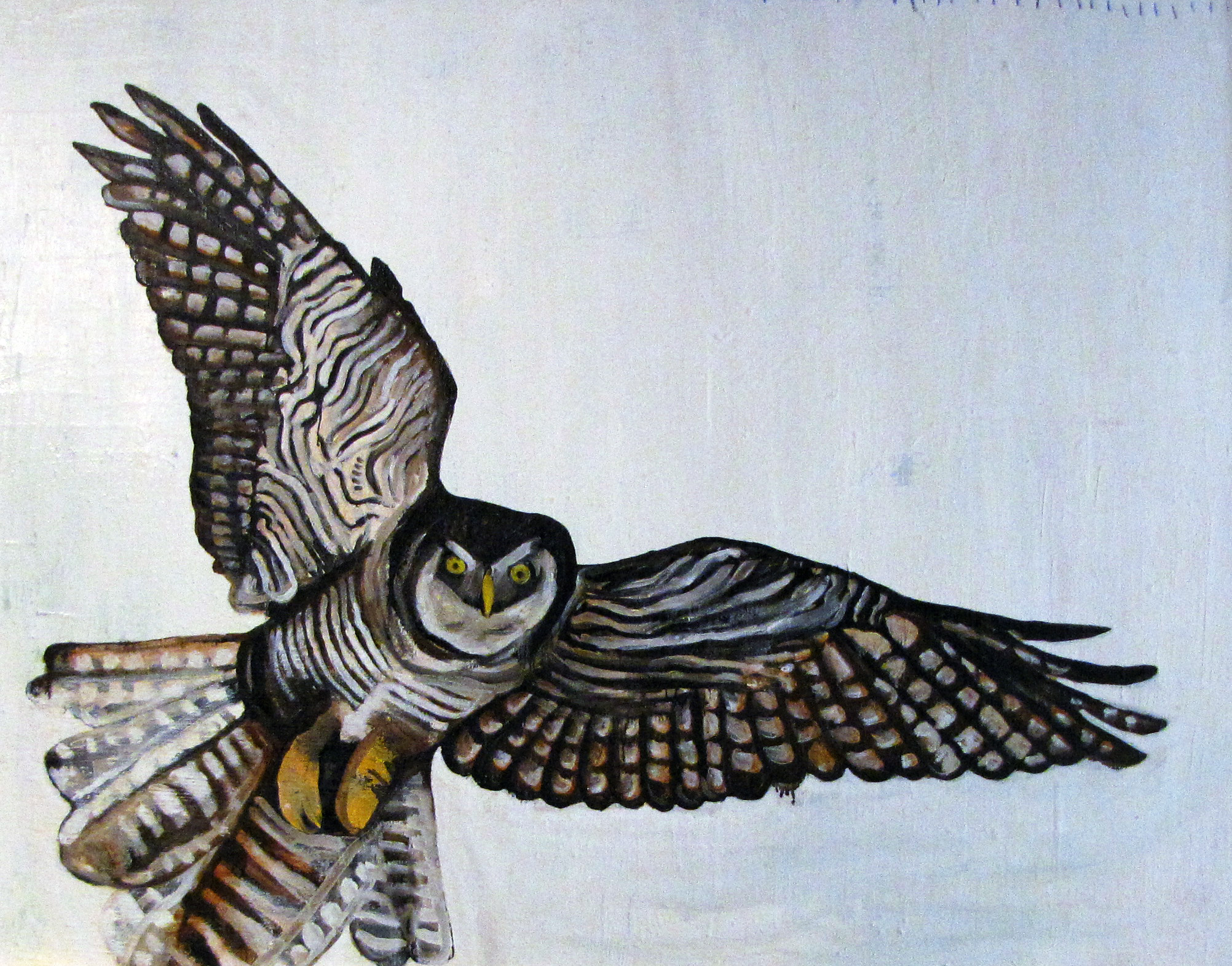 owl.jpg
