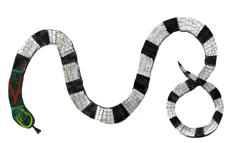 snake.jpg