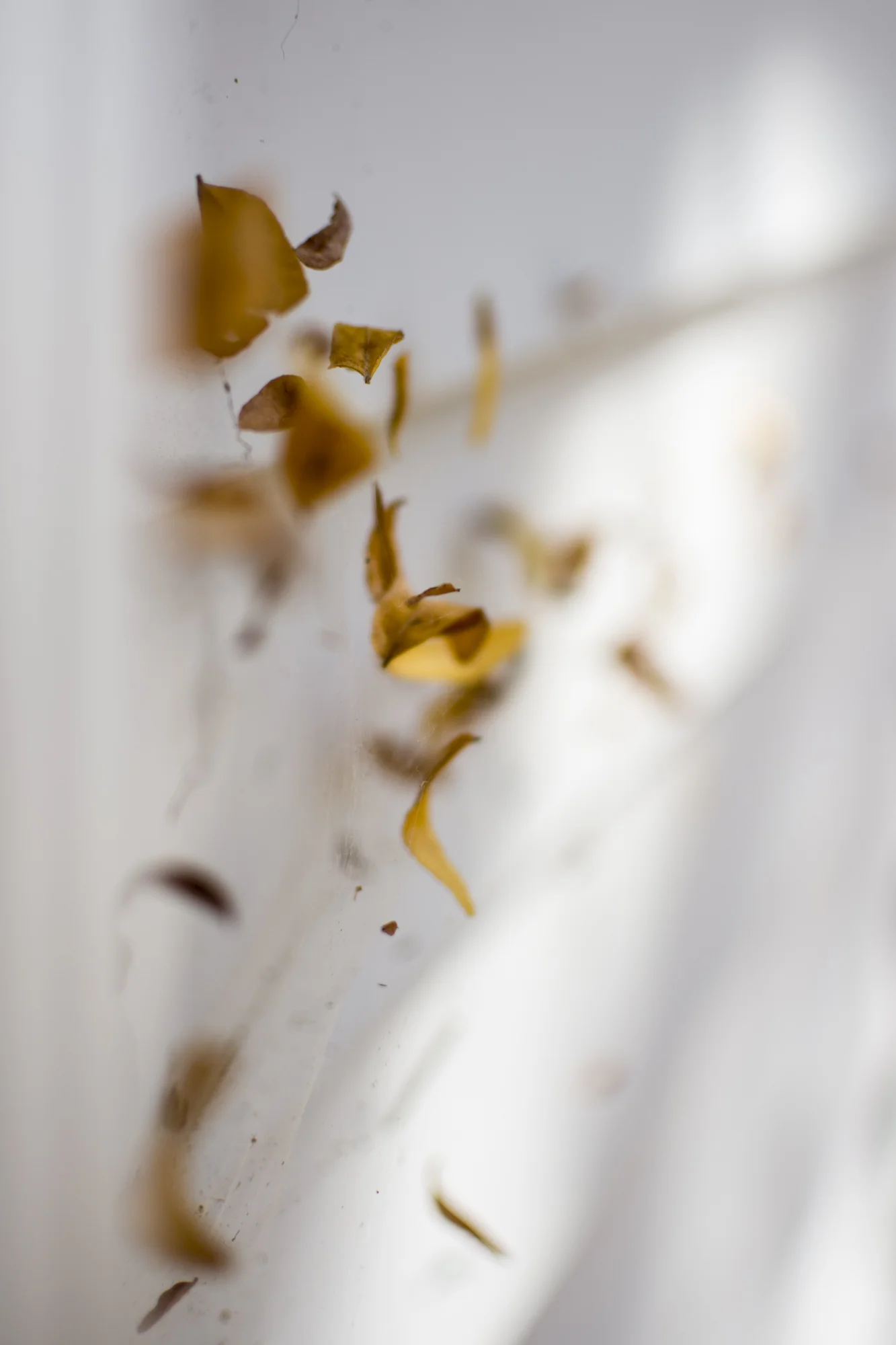 untitled_2014_06-16.jpg