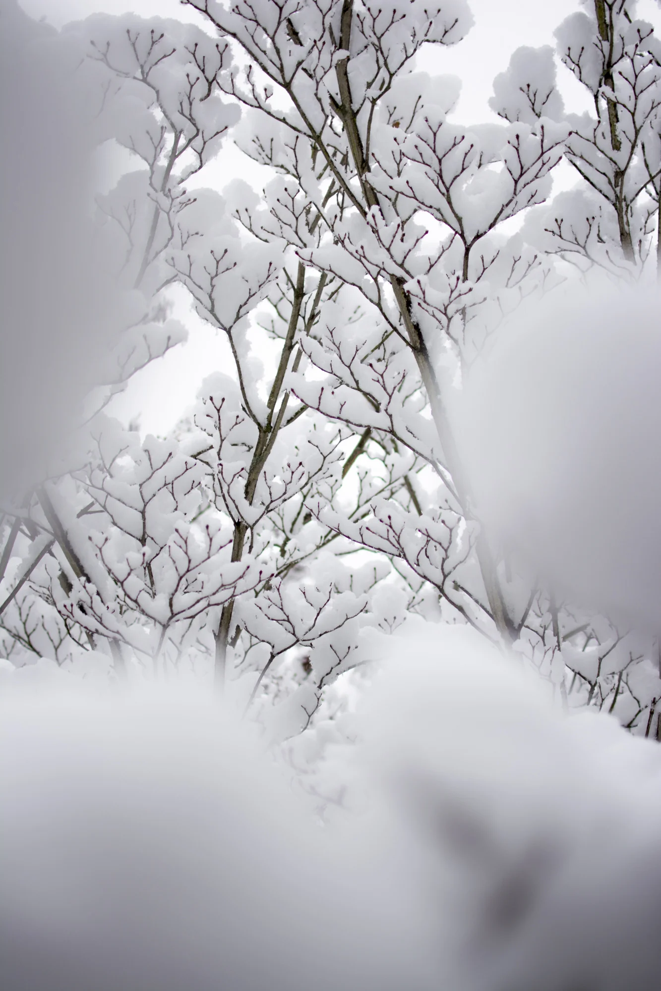 untitled_November_26,_2014_23-12.jpg