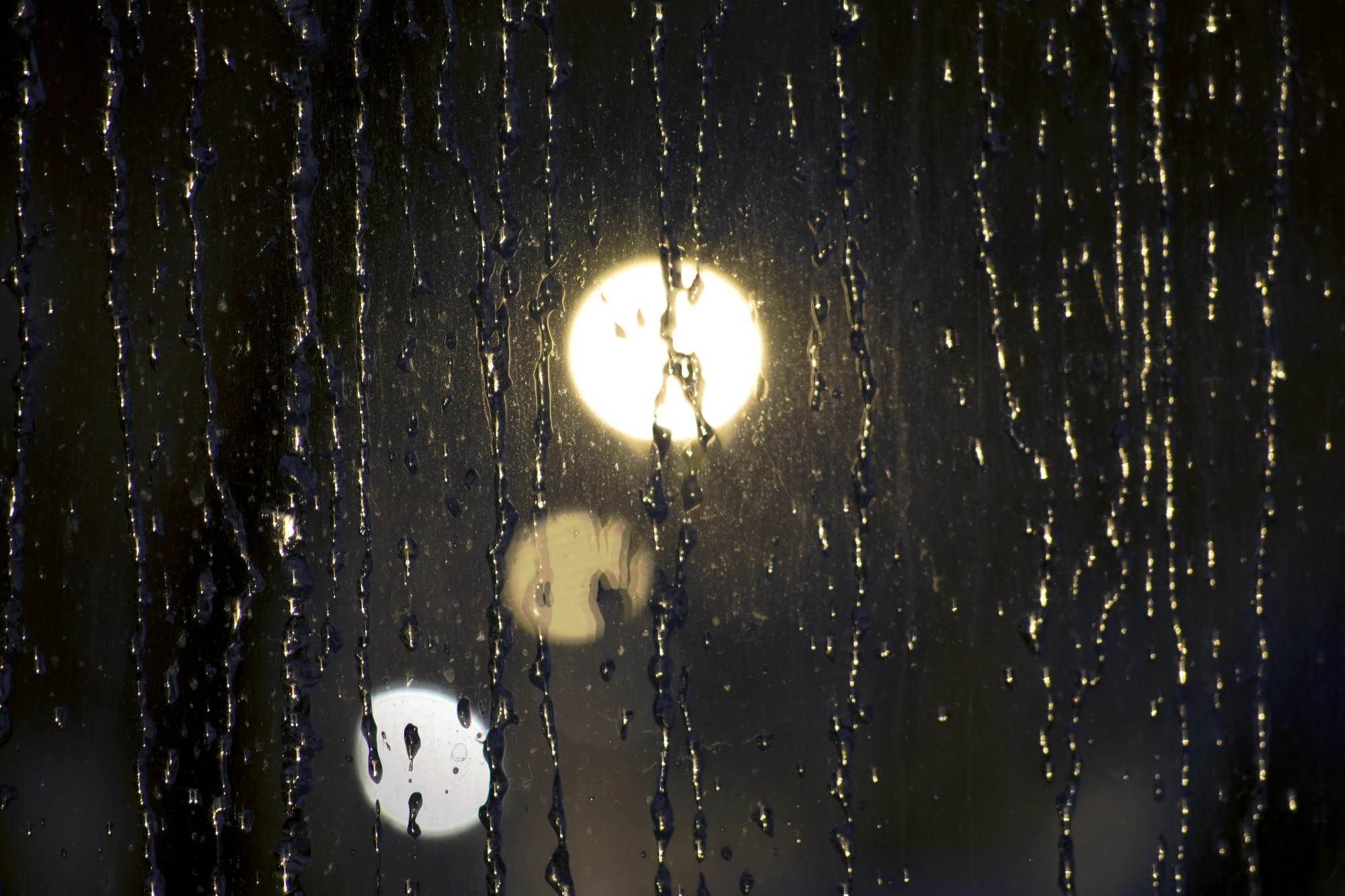 window_nighgt.jpg