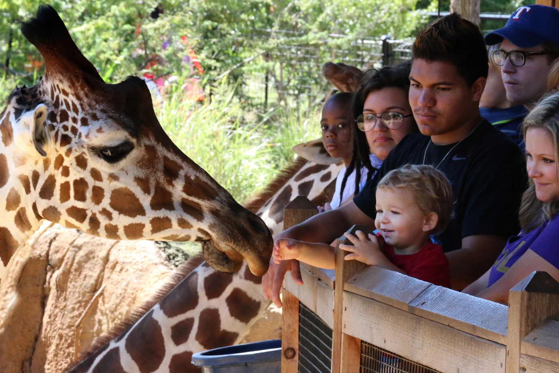 4/Dallas Zoo