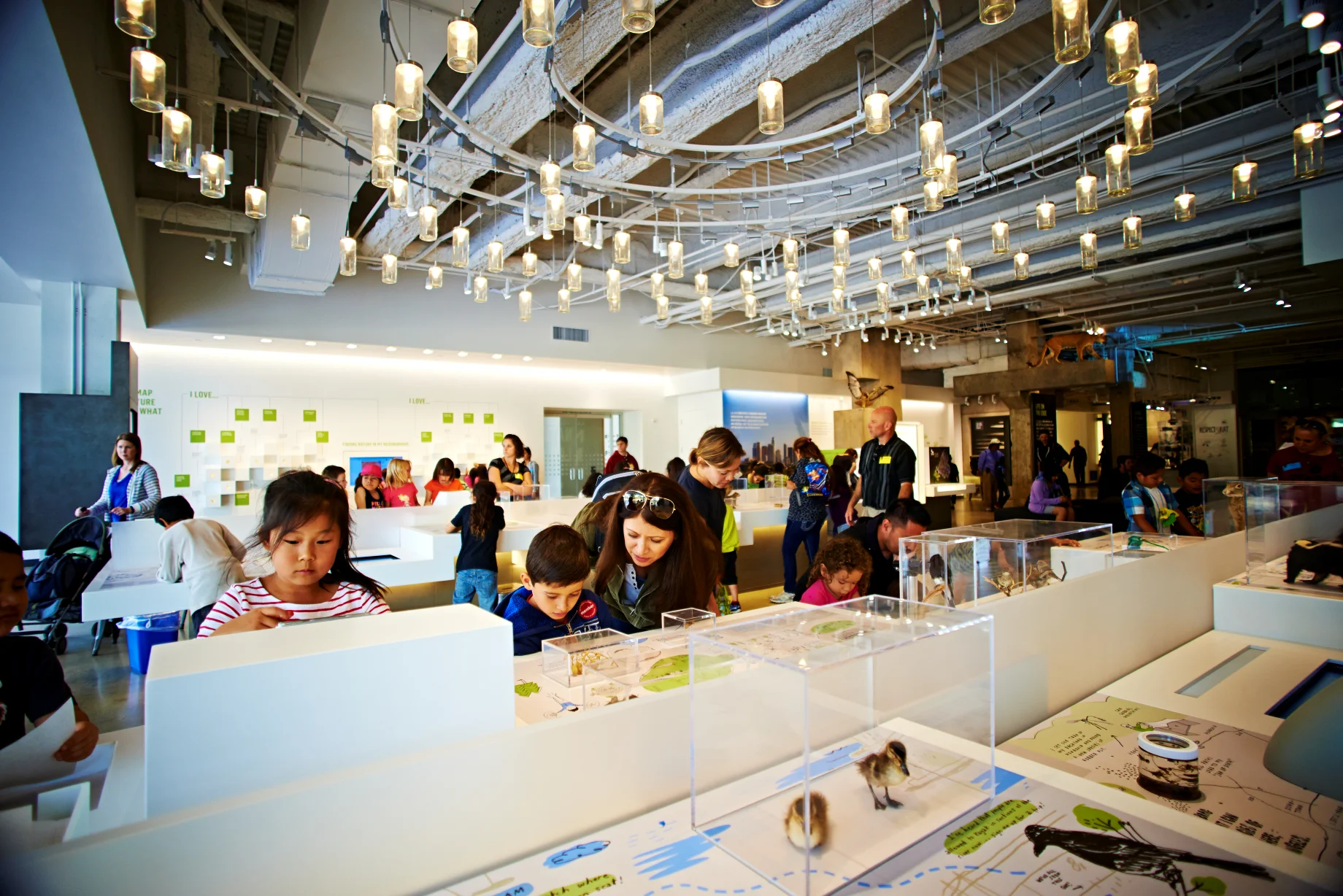 3/Natural History Museum & California Science Center