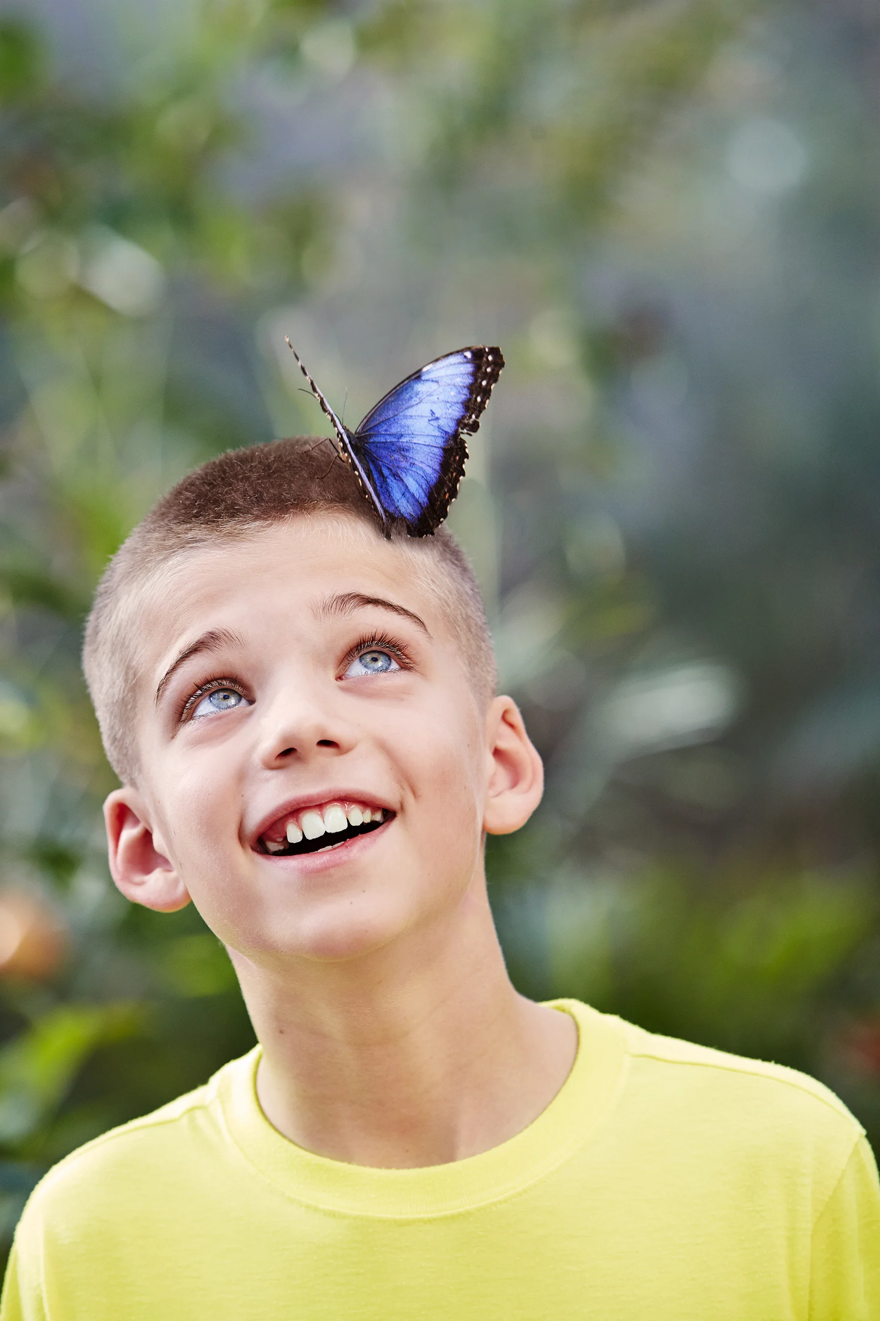 7/Butterfly Wonderland