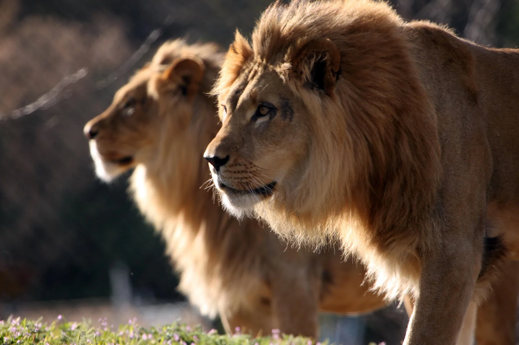 2/Utah's Hogle Zoo