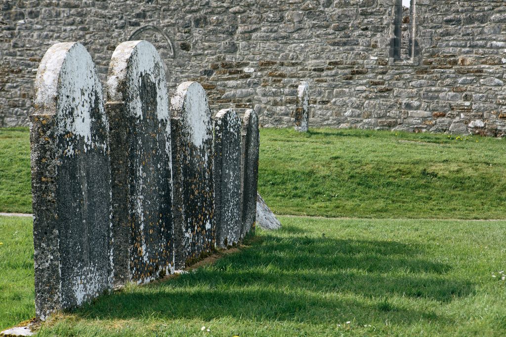 7/Walk through a graveyard