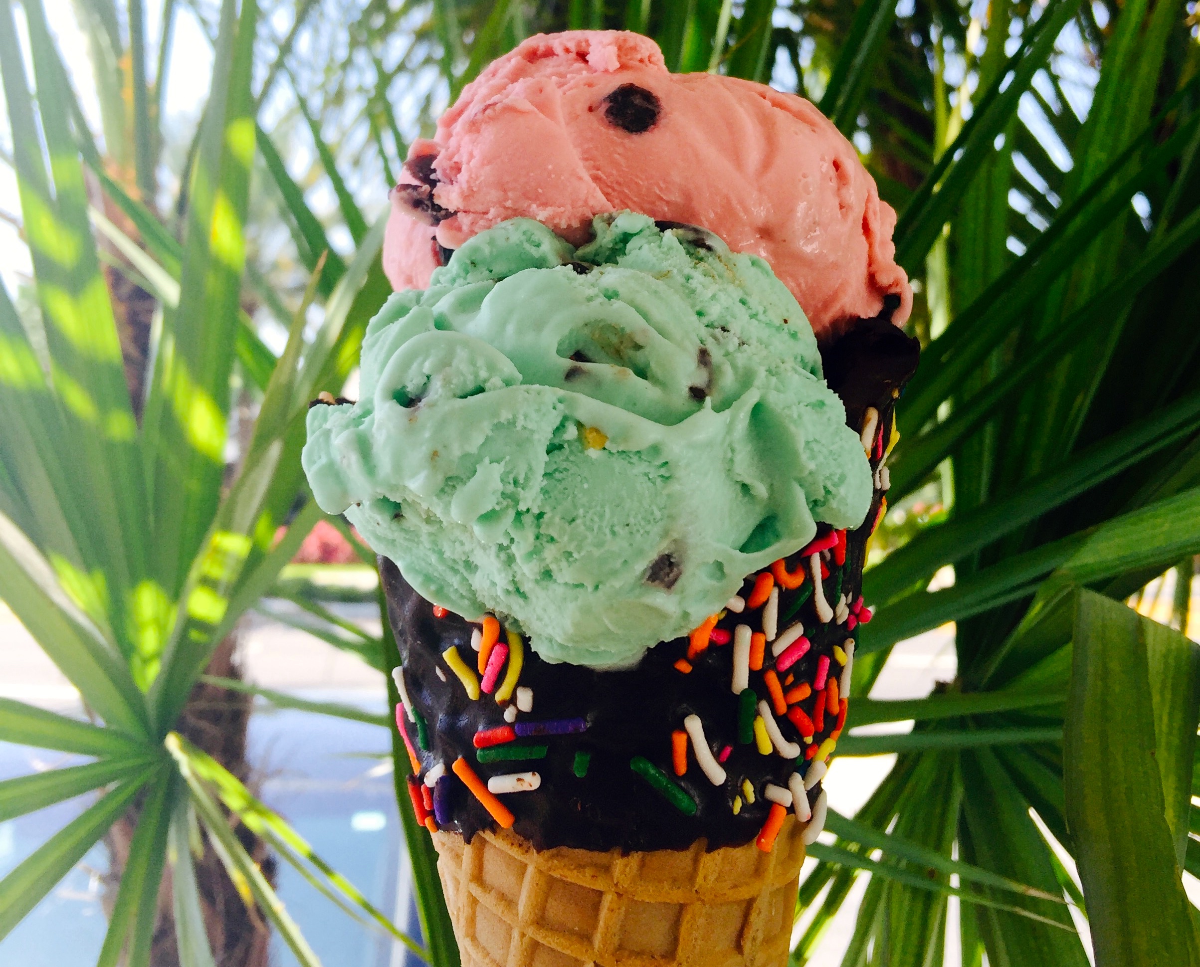2/Larry's Olde Fashioned Ice Cream & Gelato