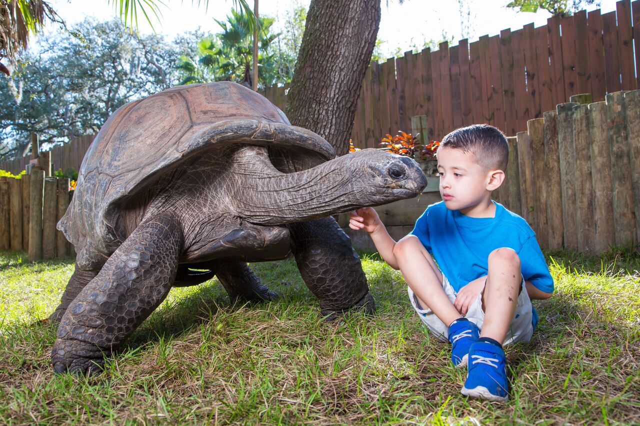 2/Lowry Park Zoo