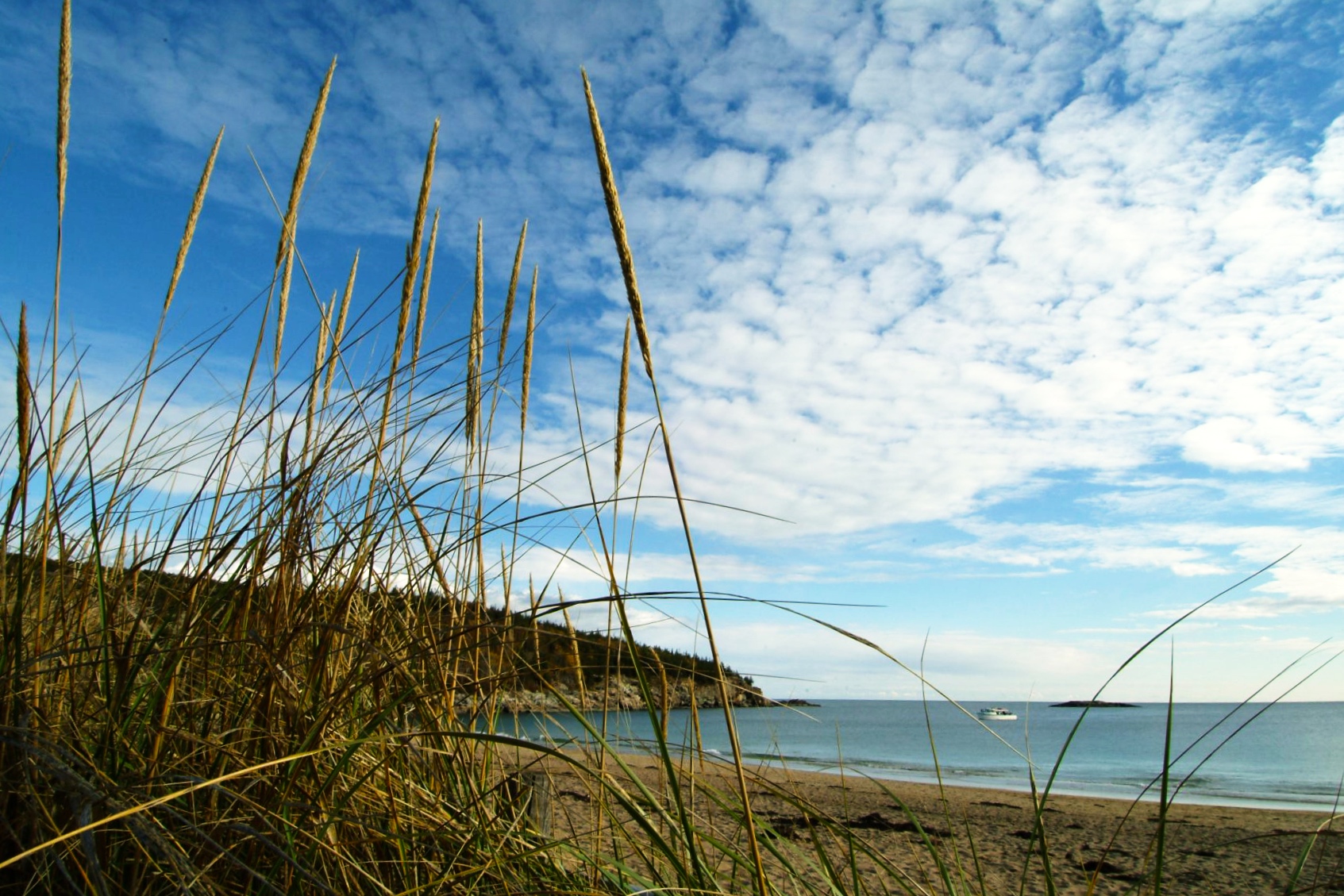 5/Sand Beach