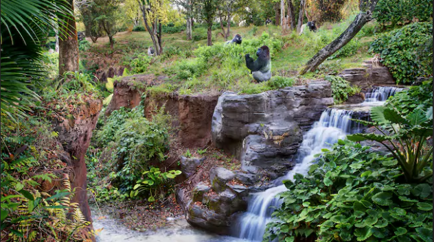 5/Gorilla Falls Exploration Trail