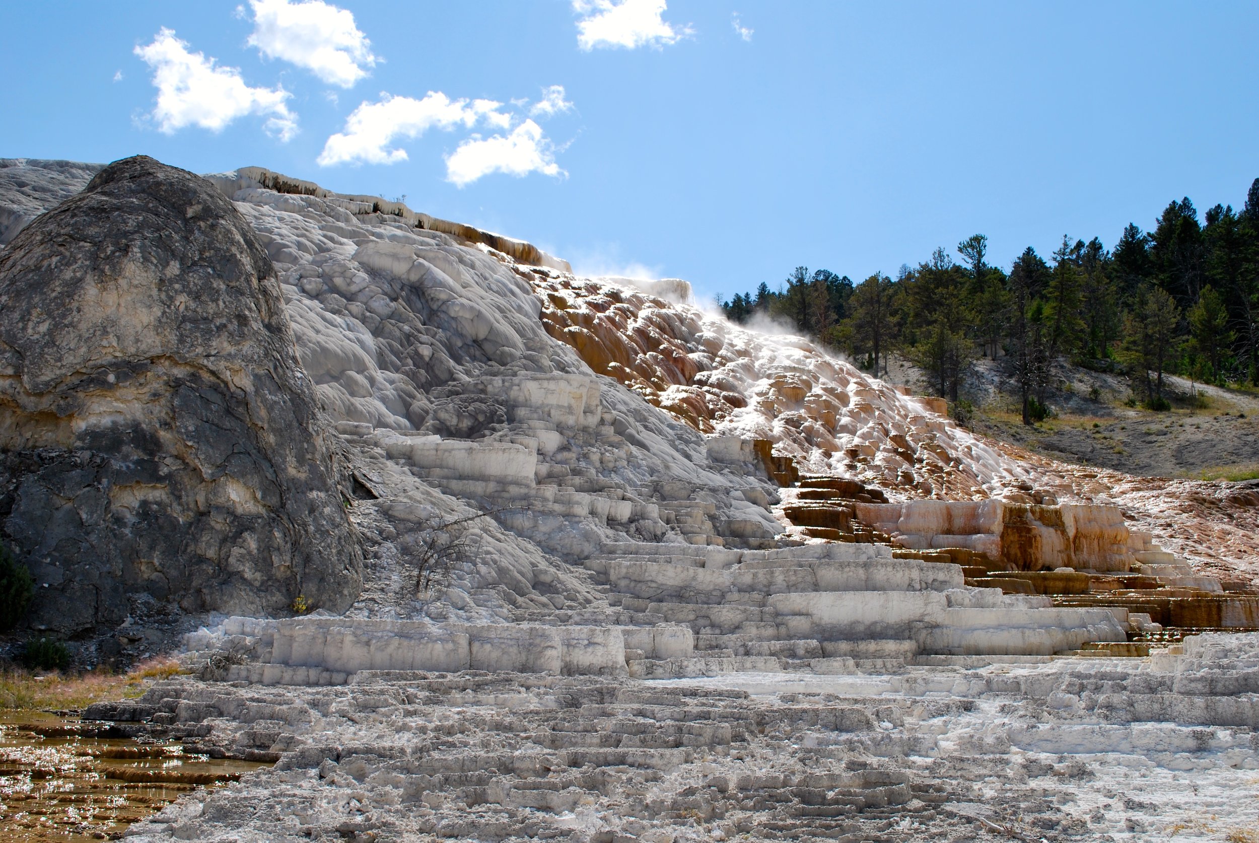 Mammoth Hot Springs area
