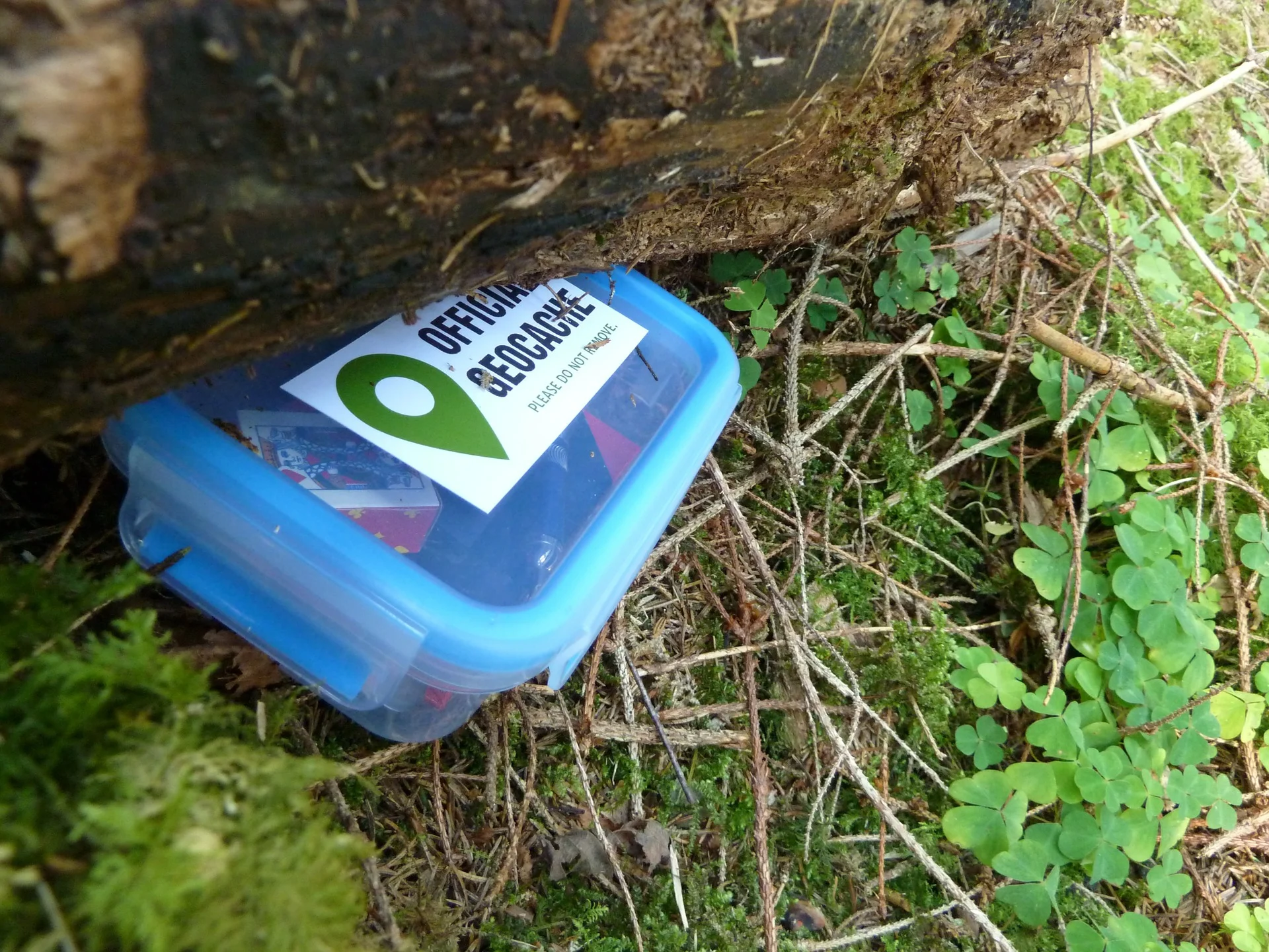 5/Geocaching