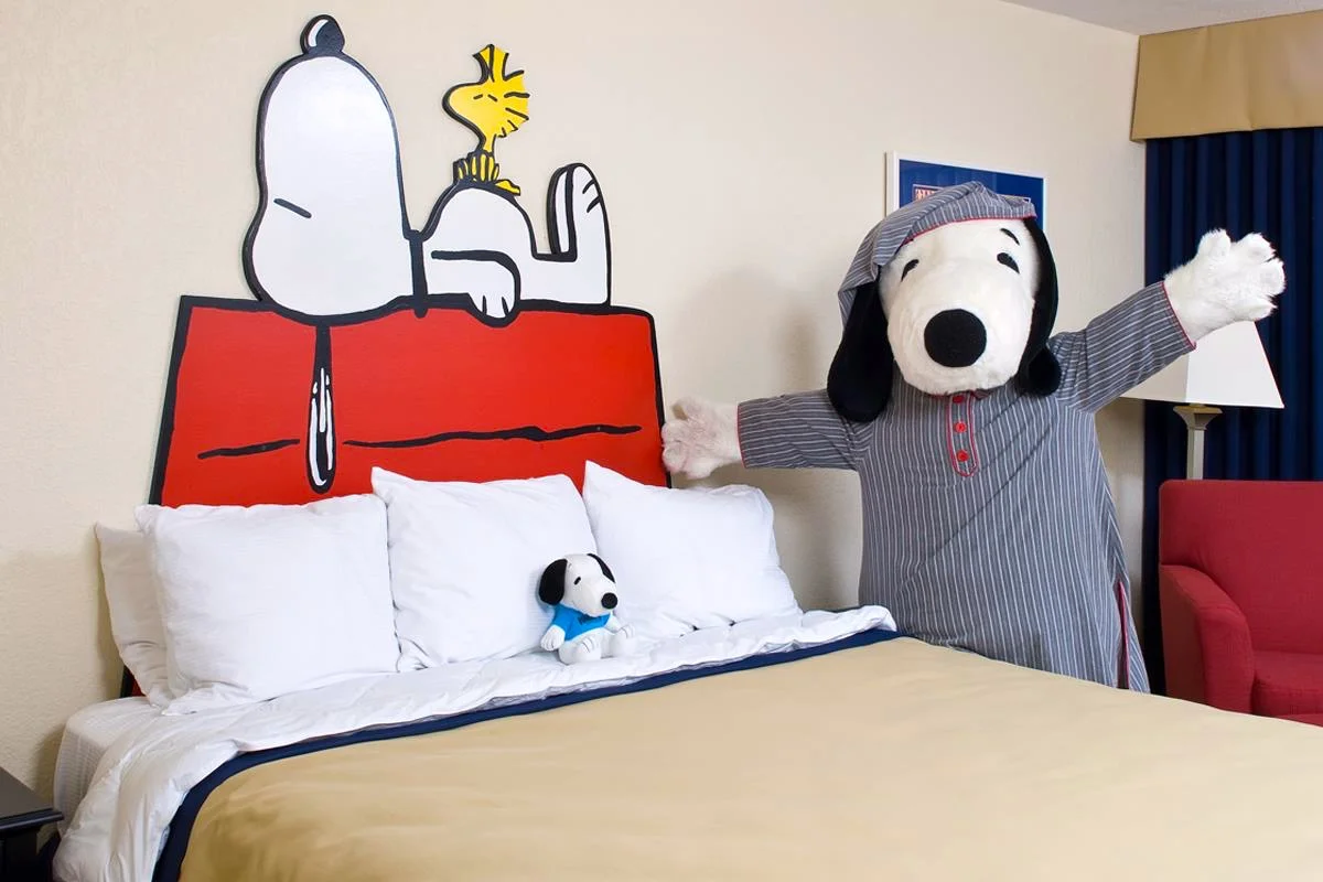 Where to stay?